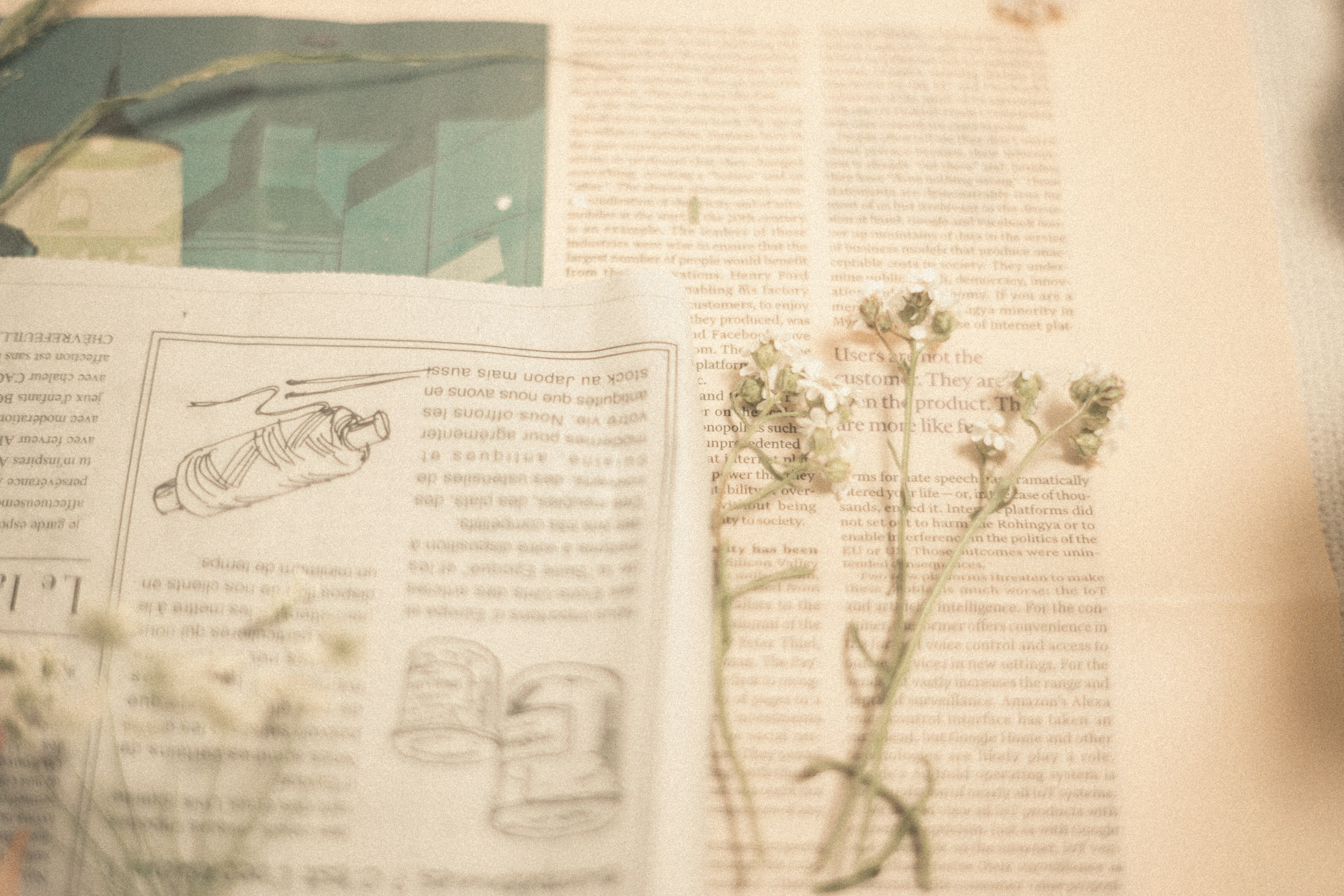 A serene scene with a newspaper page and dried flowers arranged together