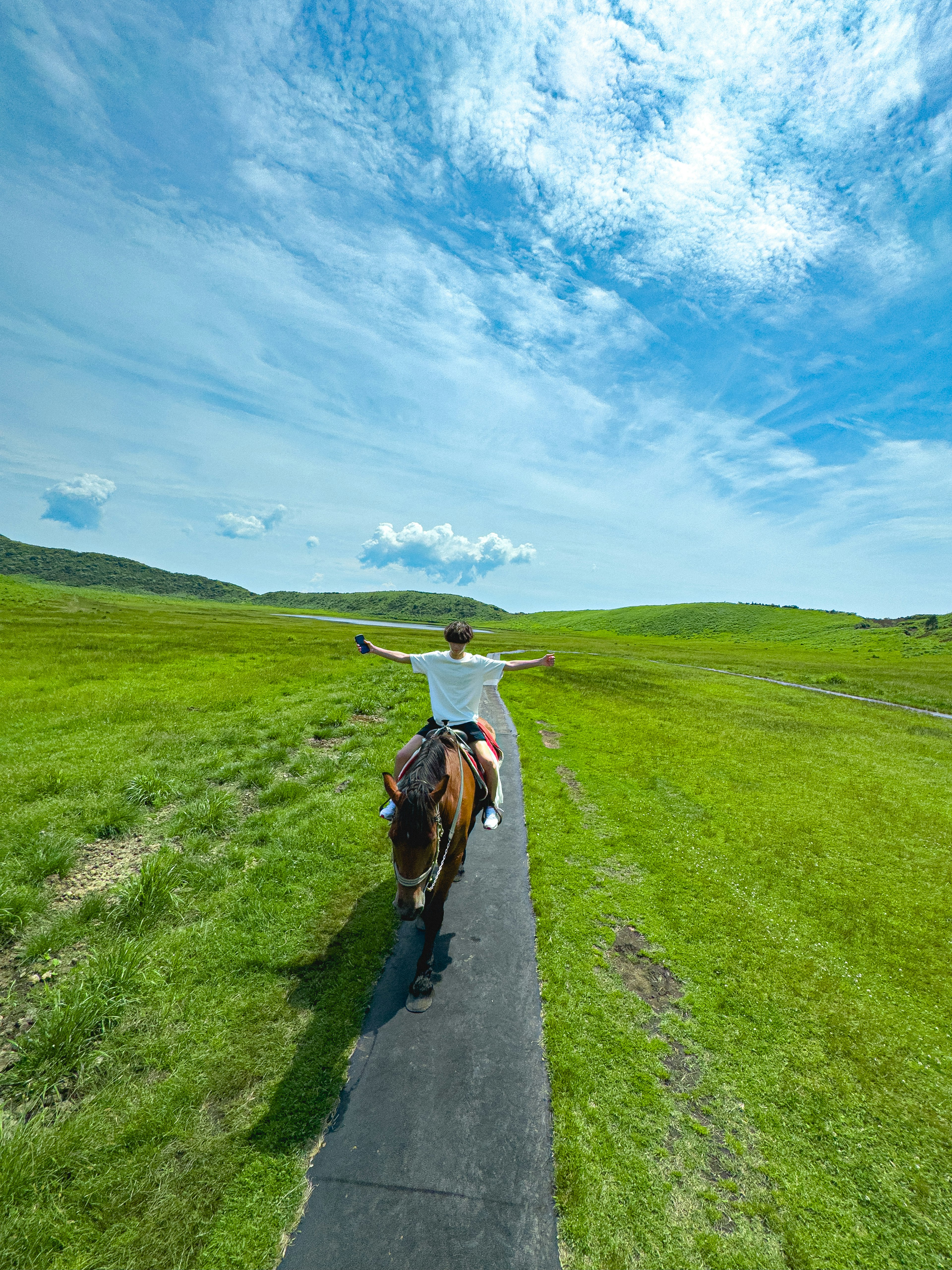 Una persona montando a caballo en un amplio prado verde bajo un cielo azul