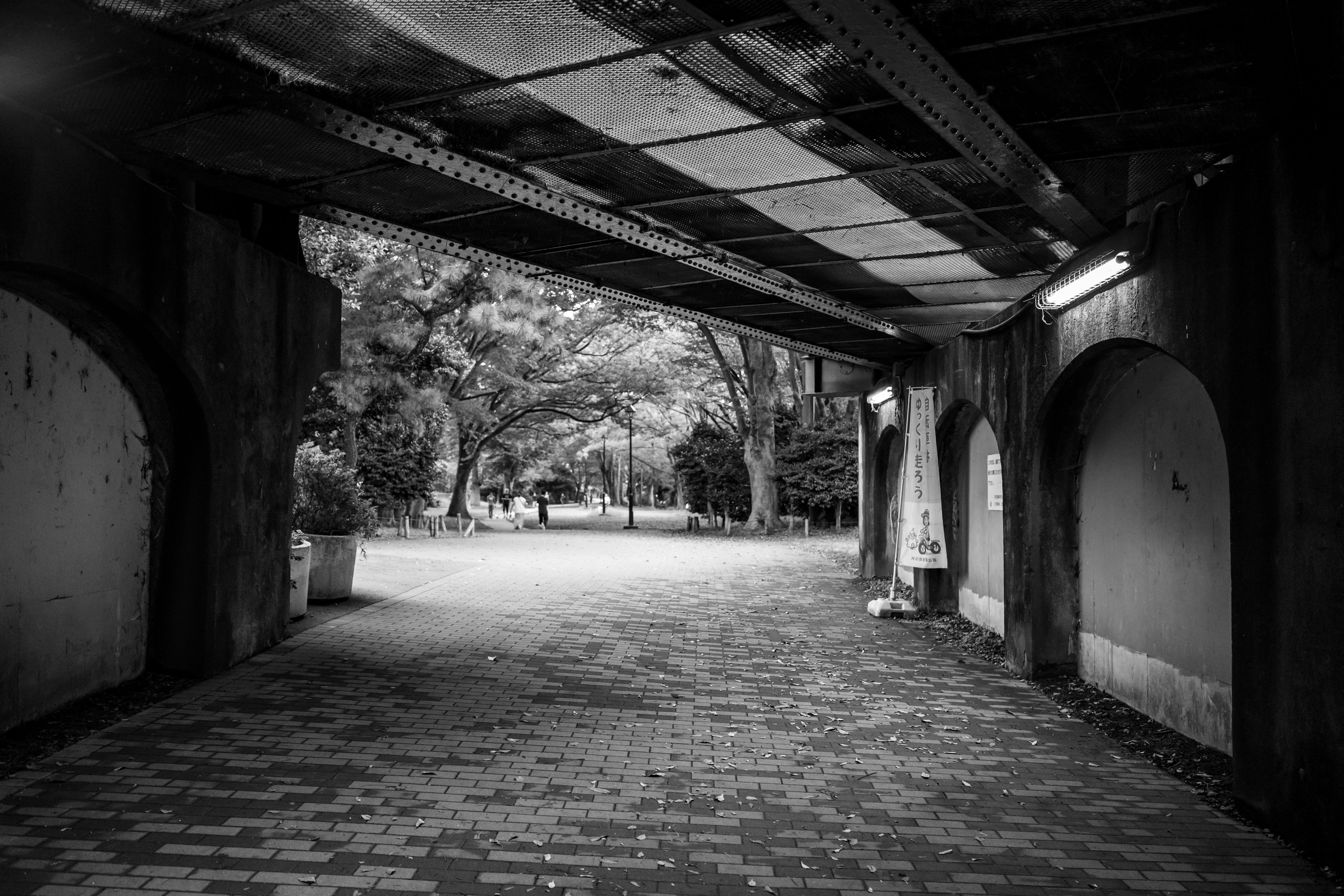 モノクロのアーチ型トンネルの内部が見える公園の風景