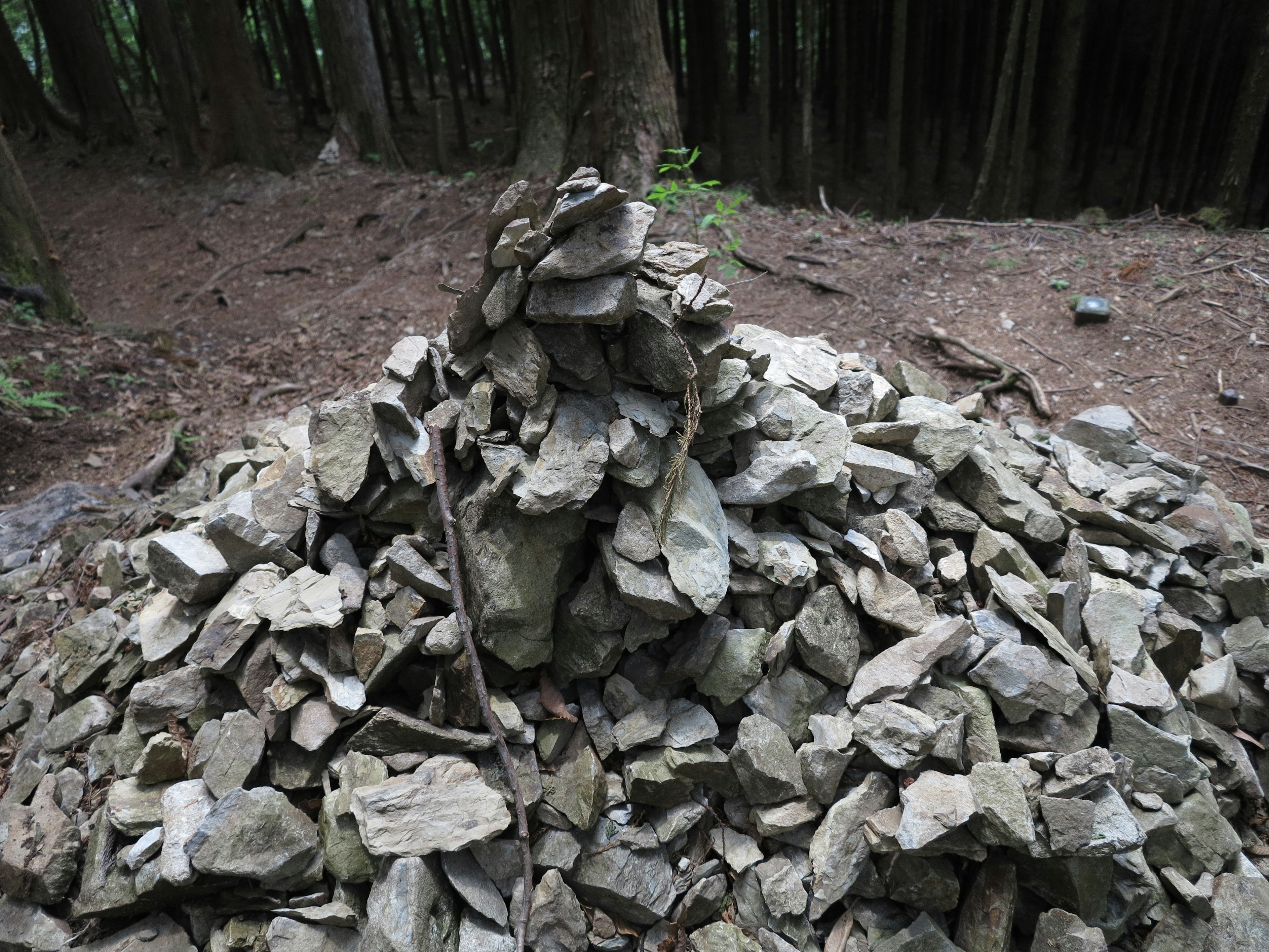 Un montón de piedras en el bosque con una pequeña piedra apilada en la parte superior