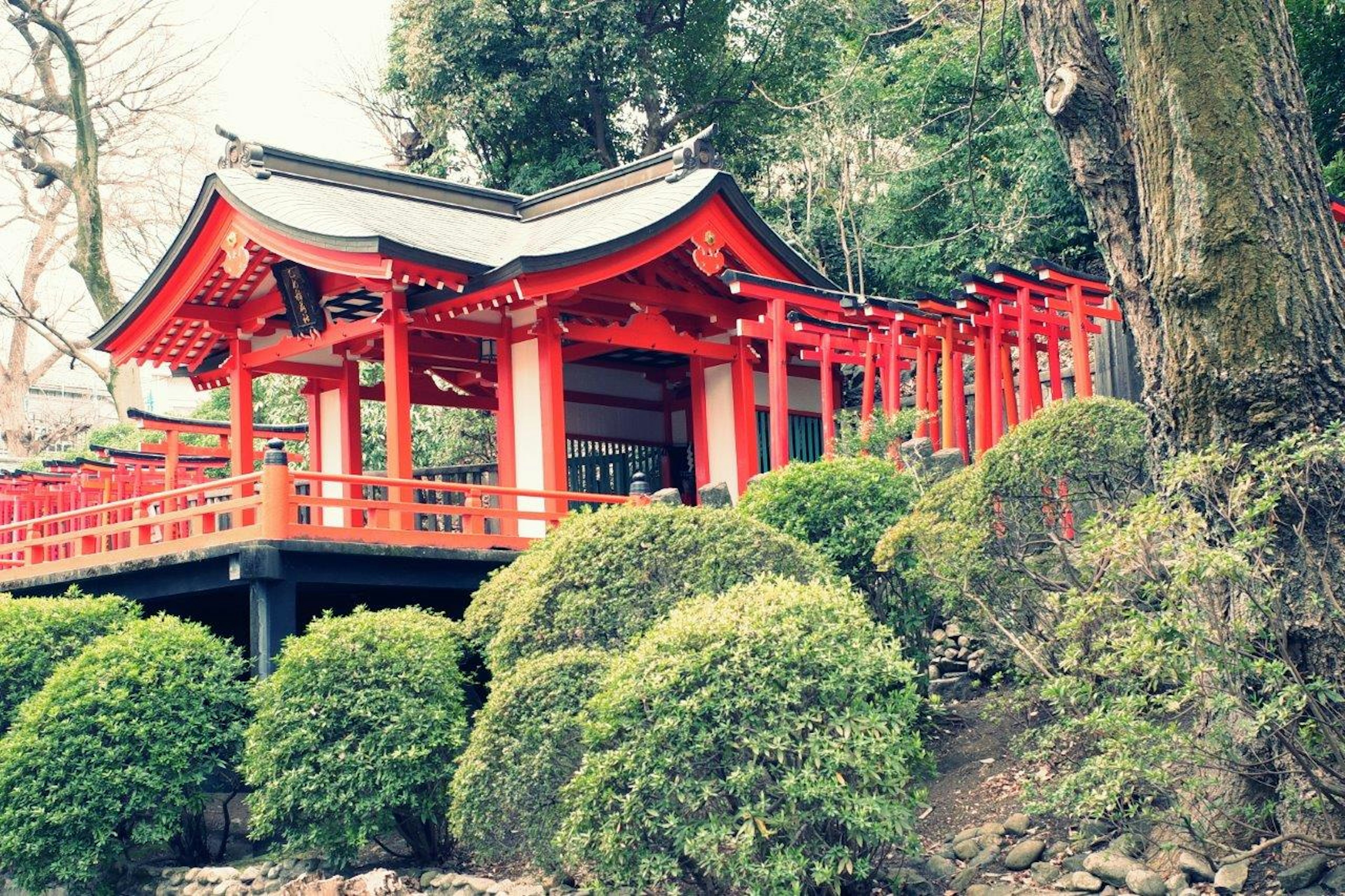 赤い神社の建物と緑の植栽が調和する風景