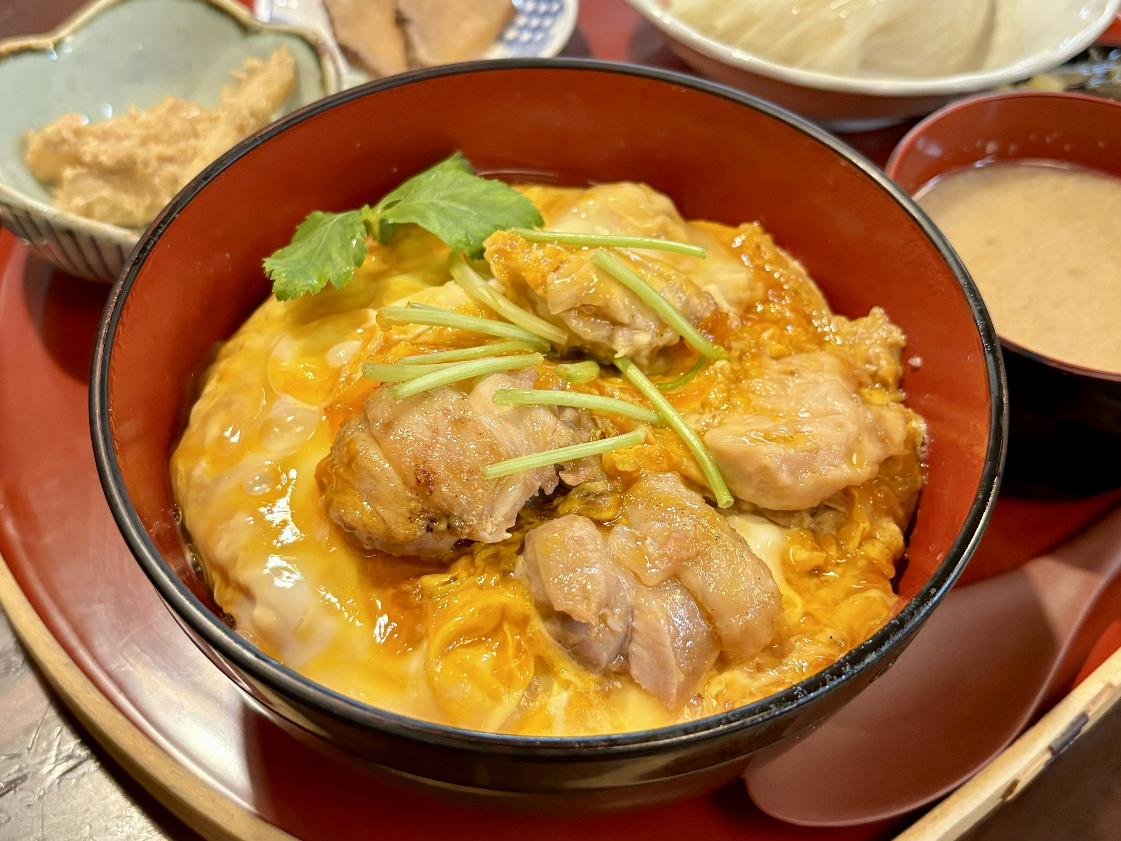 鶏肉と卵の丼料理の写真 盛り付けに青ねぎが添えられた