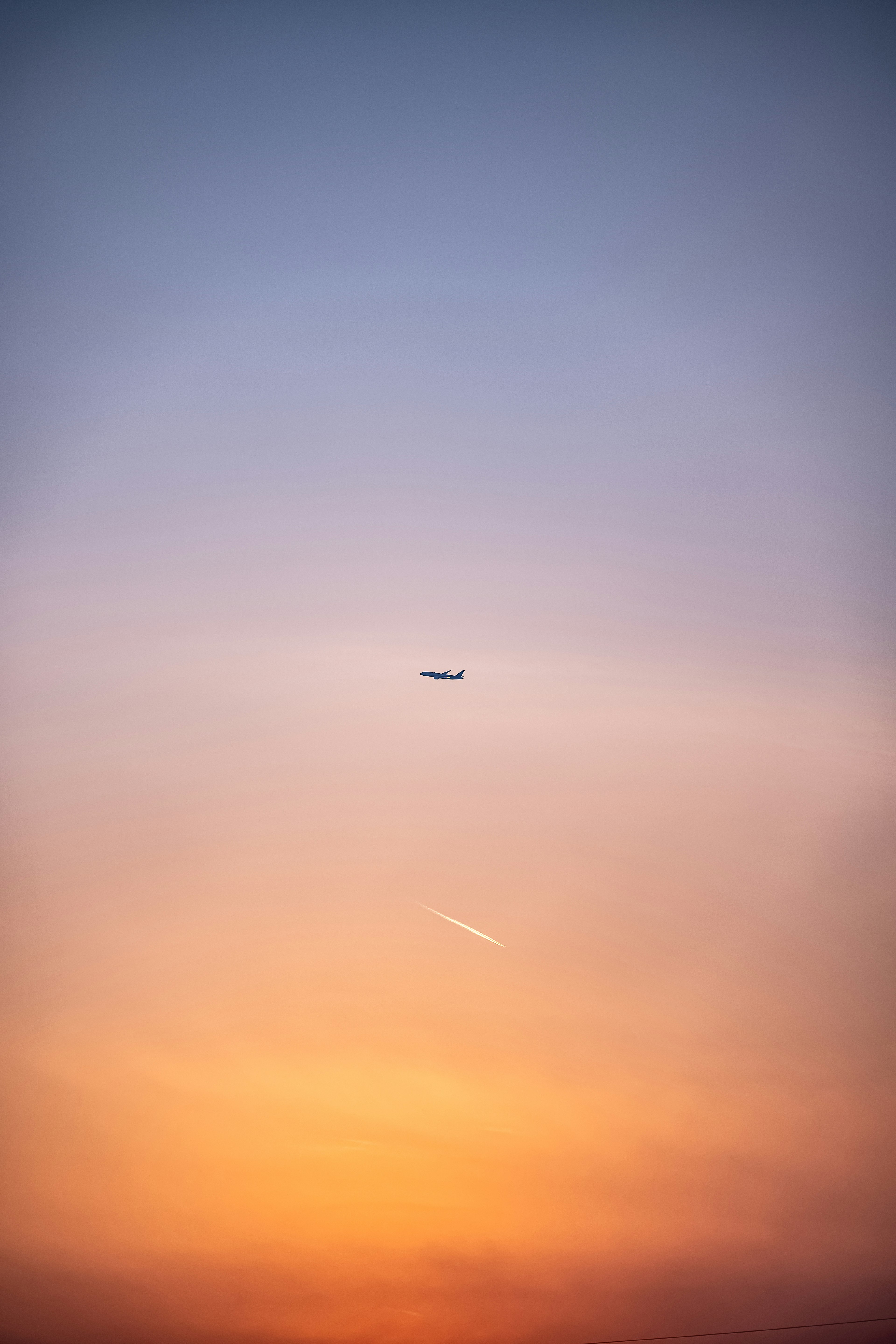 photo-iqR4eWL5rmHUvvgjWRle-image