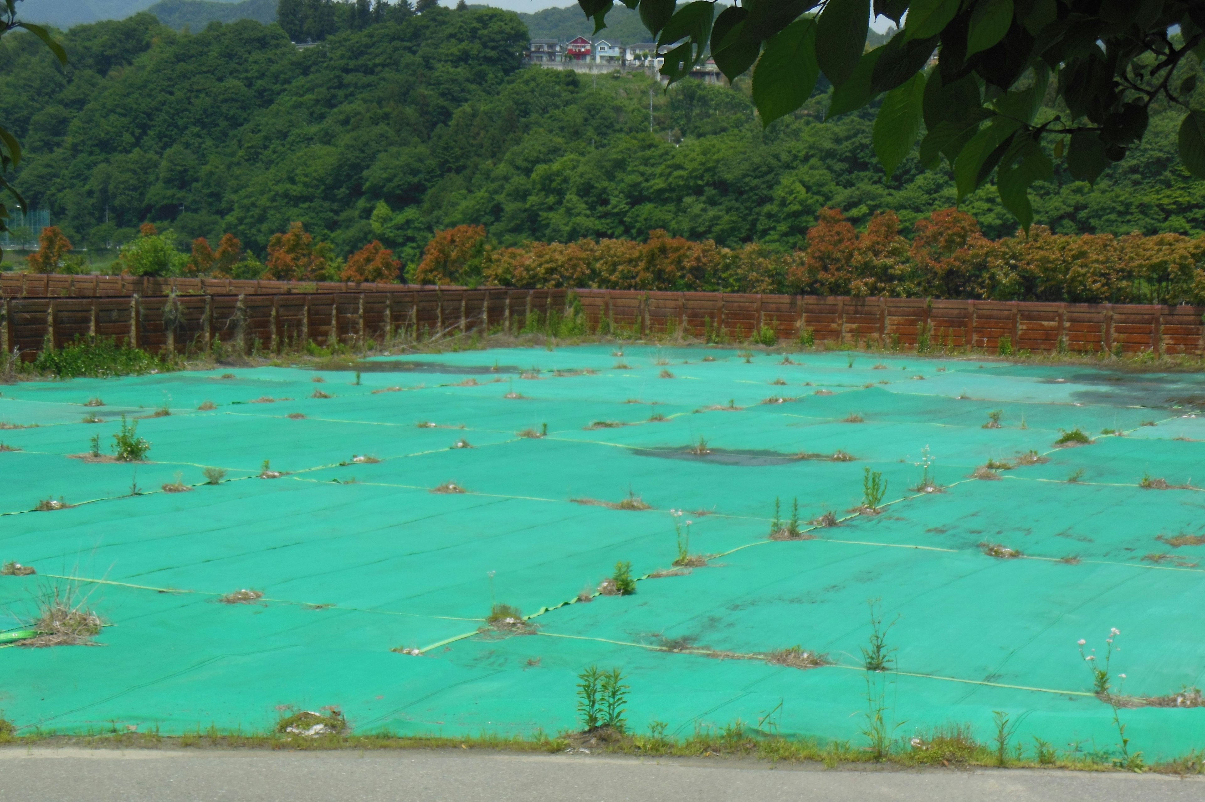 緑色のシートで覆われた農地草や雑草が生えている背景には森の風景