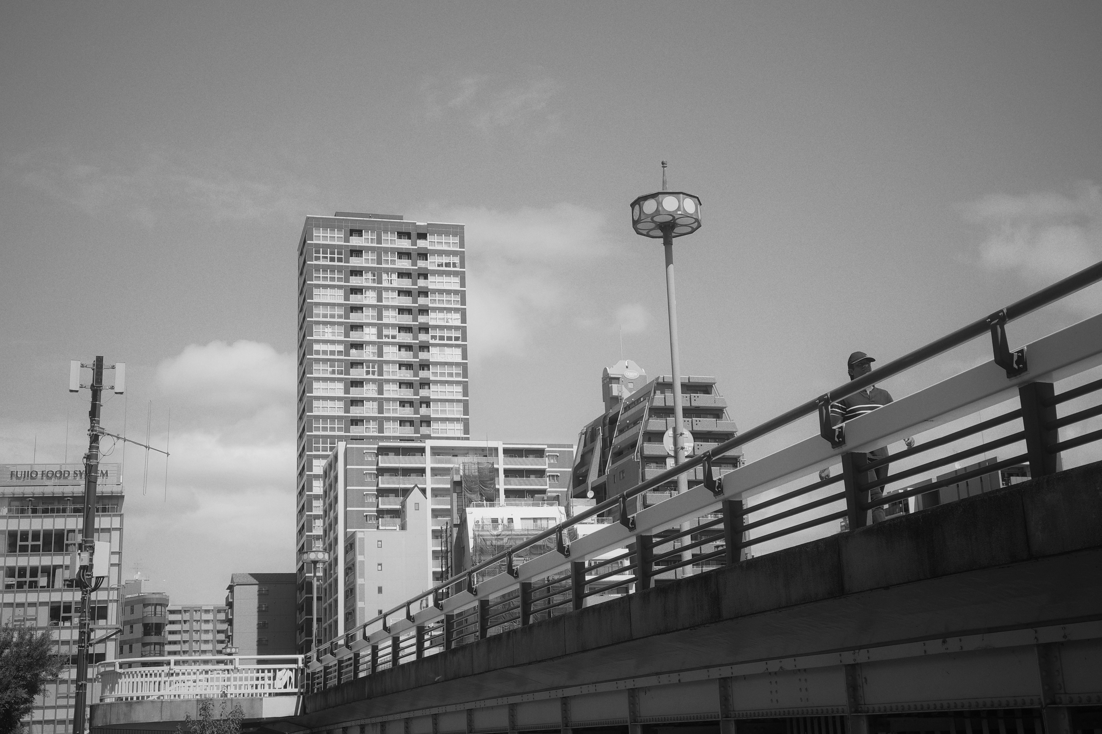 Black and white urban landscape featuring a high-rise building and a bridge walkway