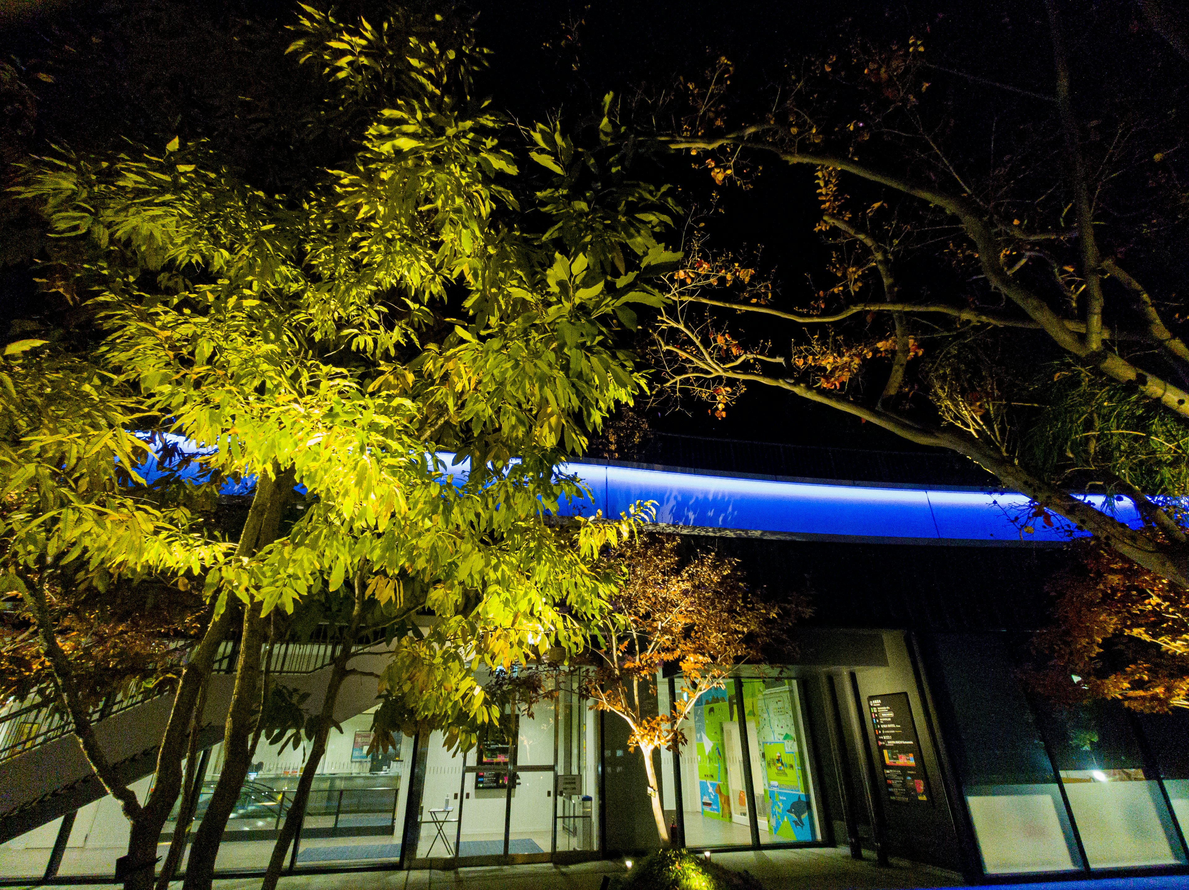 Escena nocturna con árboles verdes iluminados y un edificio con luces azules