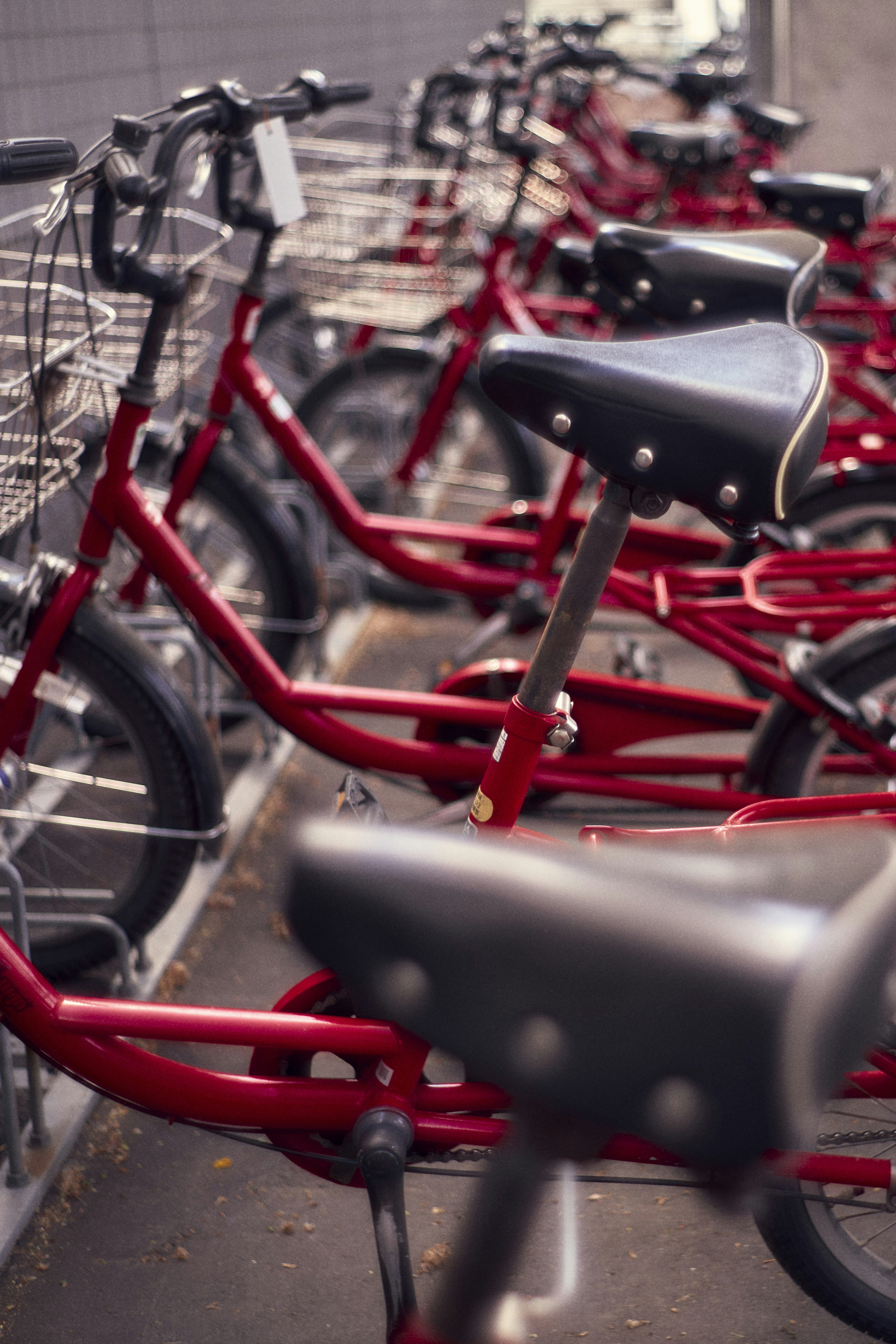 Close-up of a row of red bicycles showing handlebars and seats