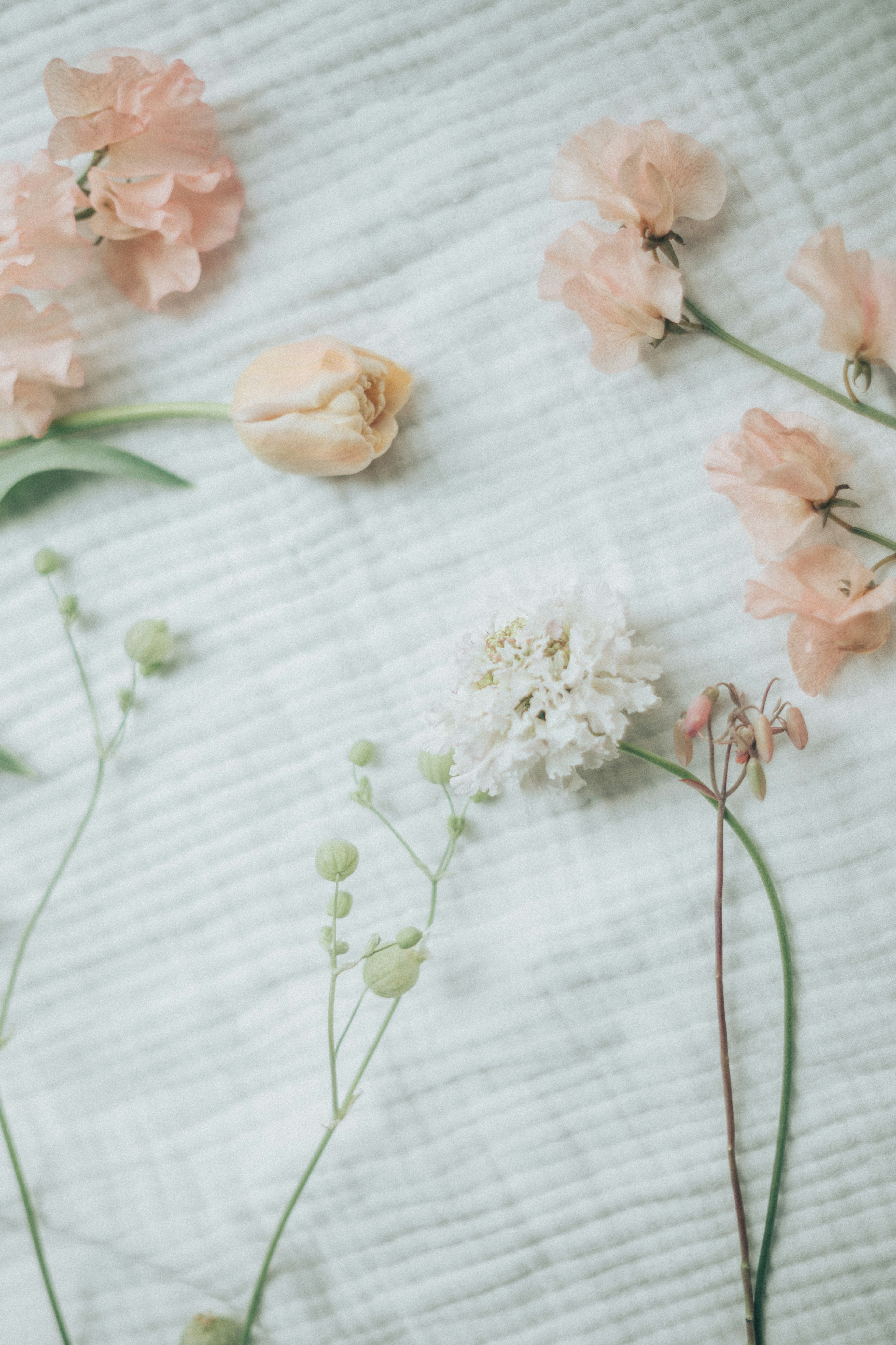 Sanftfarbene Blumen auf einem Stoff angeordnet