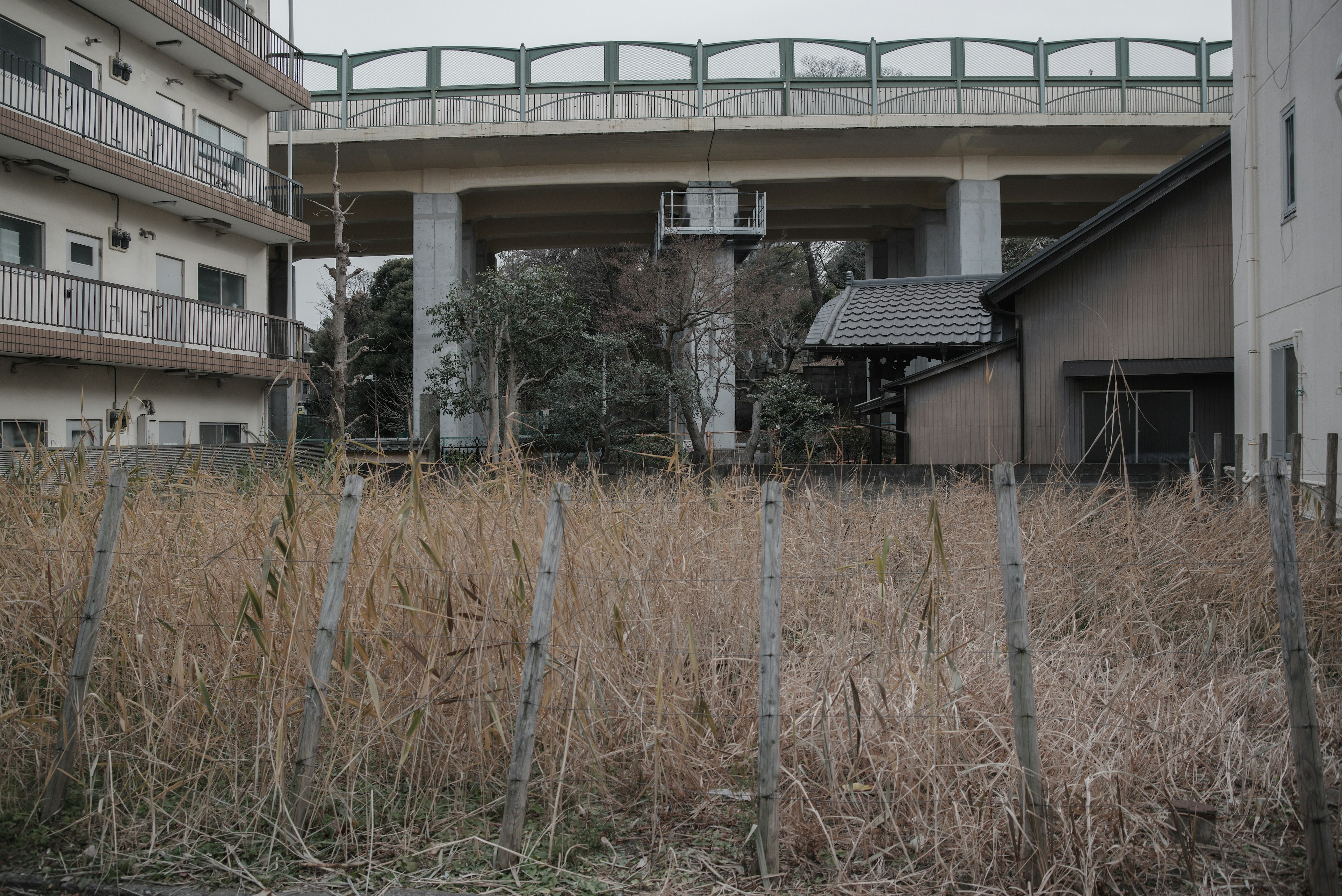 Terreno cubierto de hierba bajo una carretera elevada con edificios circundantes