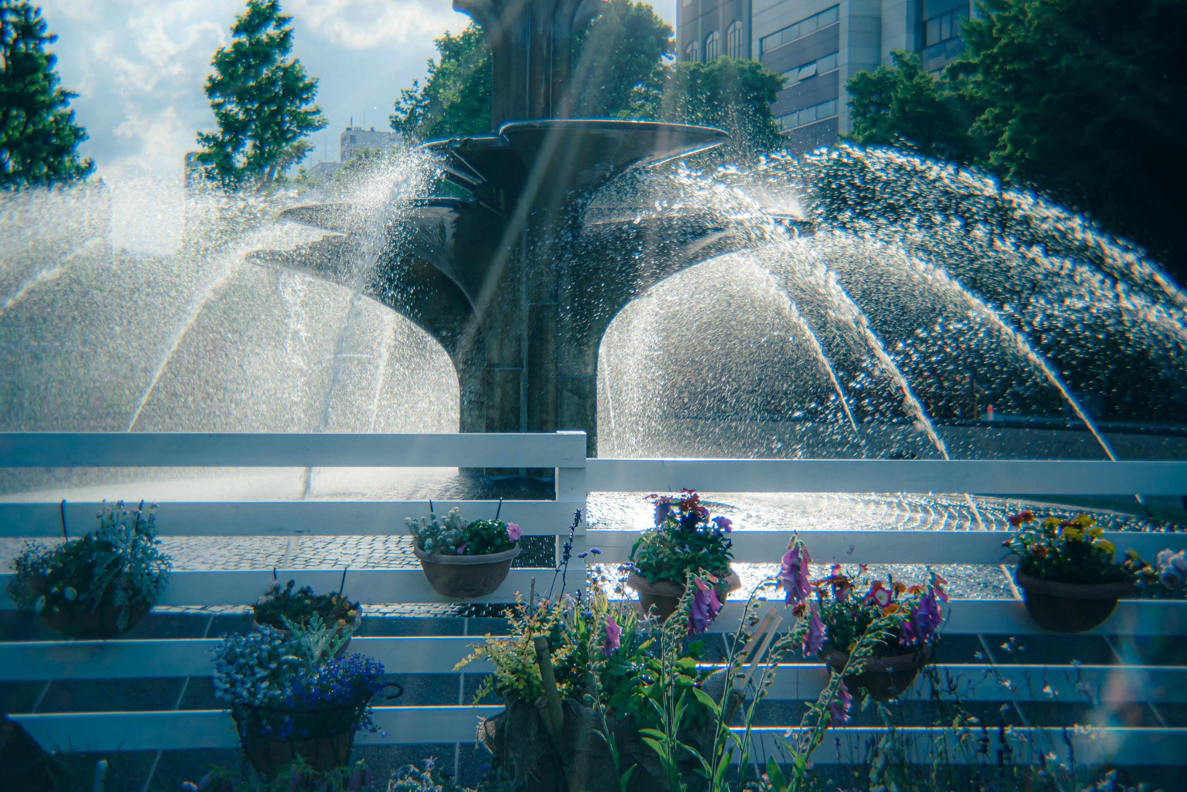 A beautiful fountain with flowers arranged in pots along a white fence