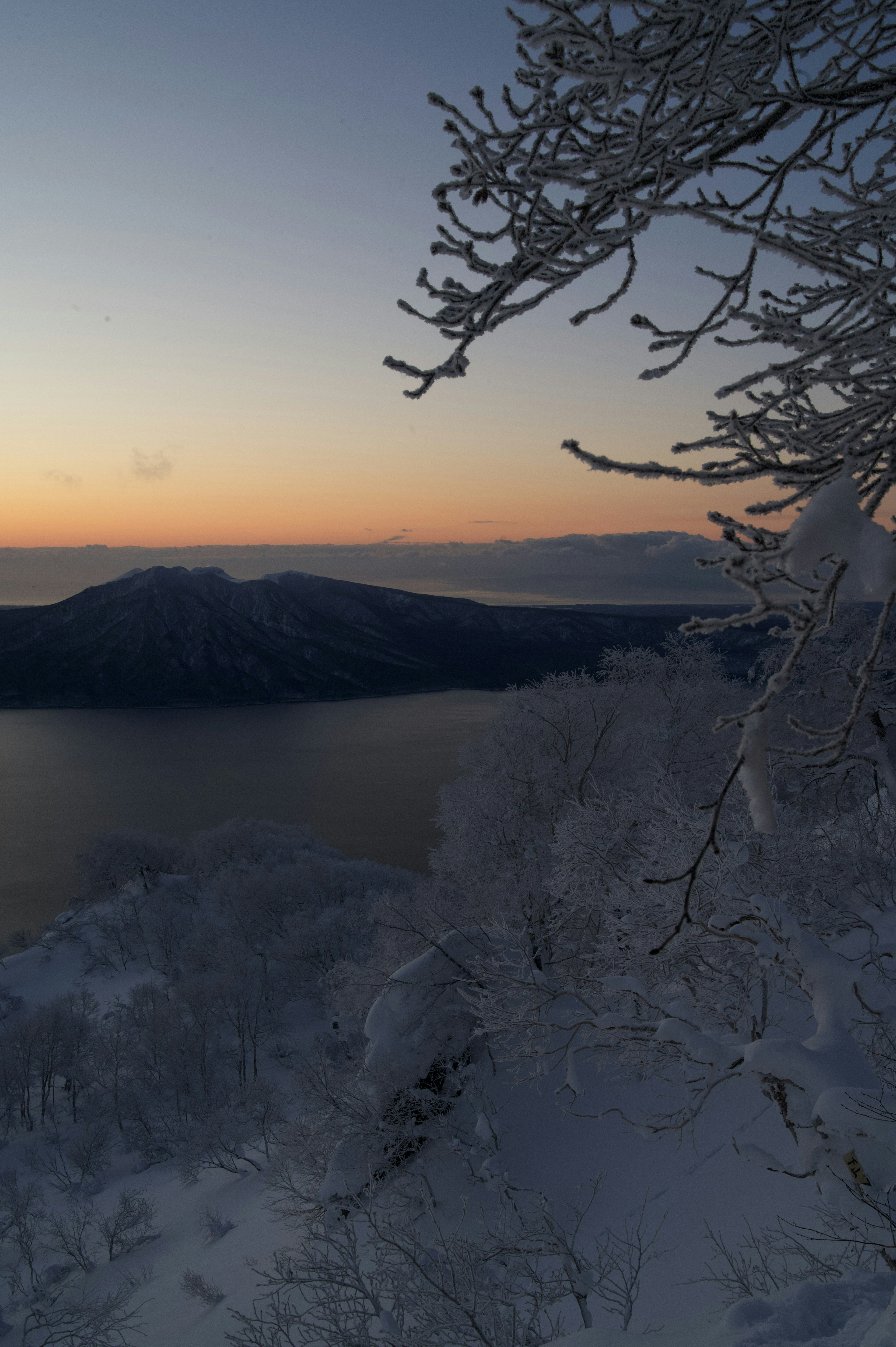 冬季風景，雪覆蓋的樹木和日落時分的結冰湖面