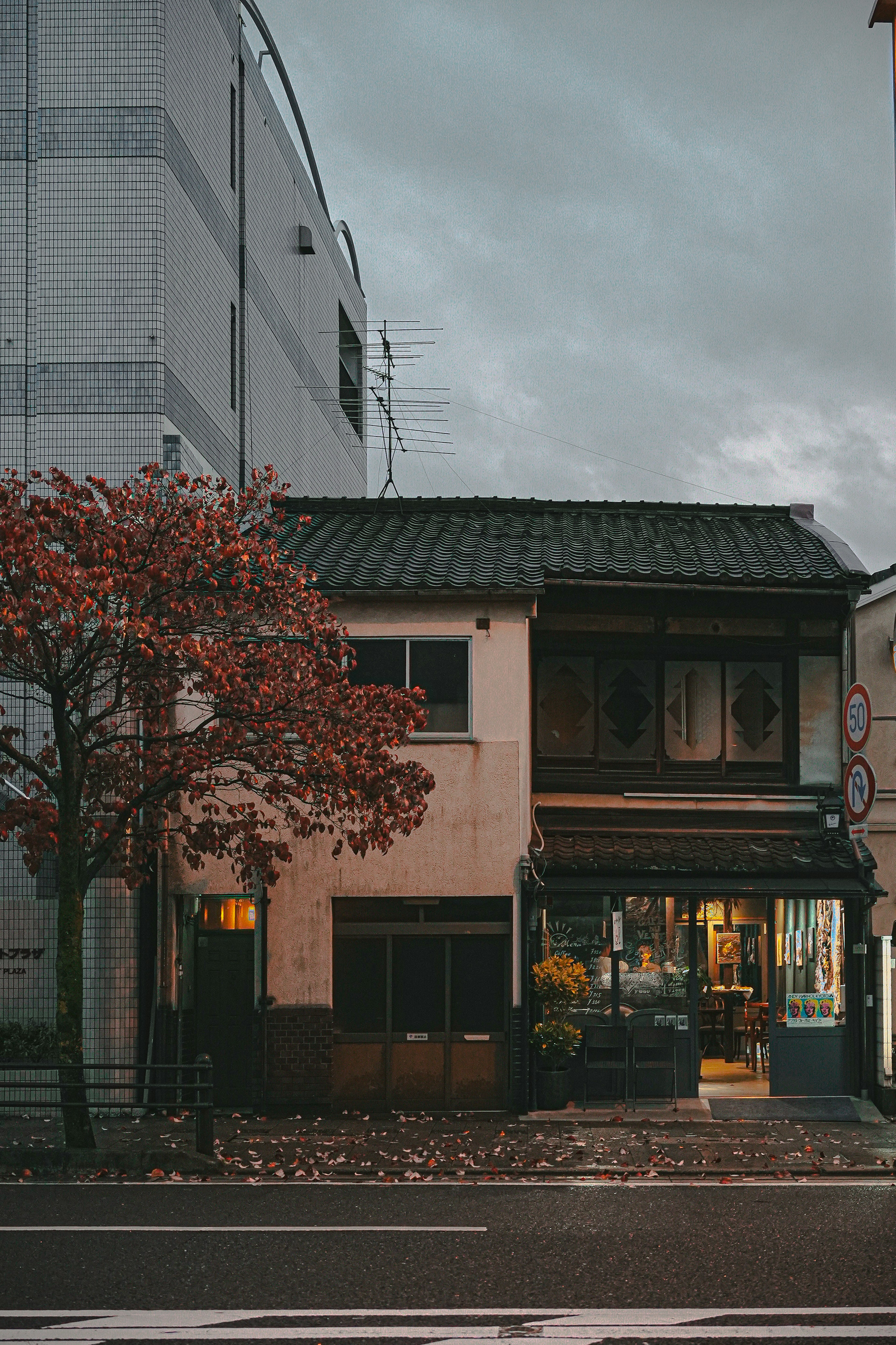 Altes japanisches Gebäude mit einem Kirschbaum