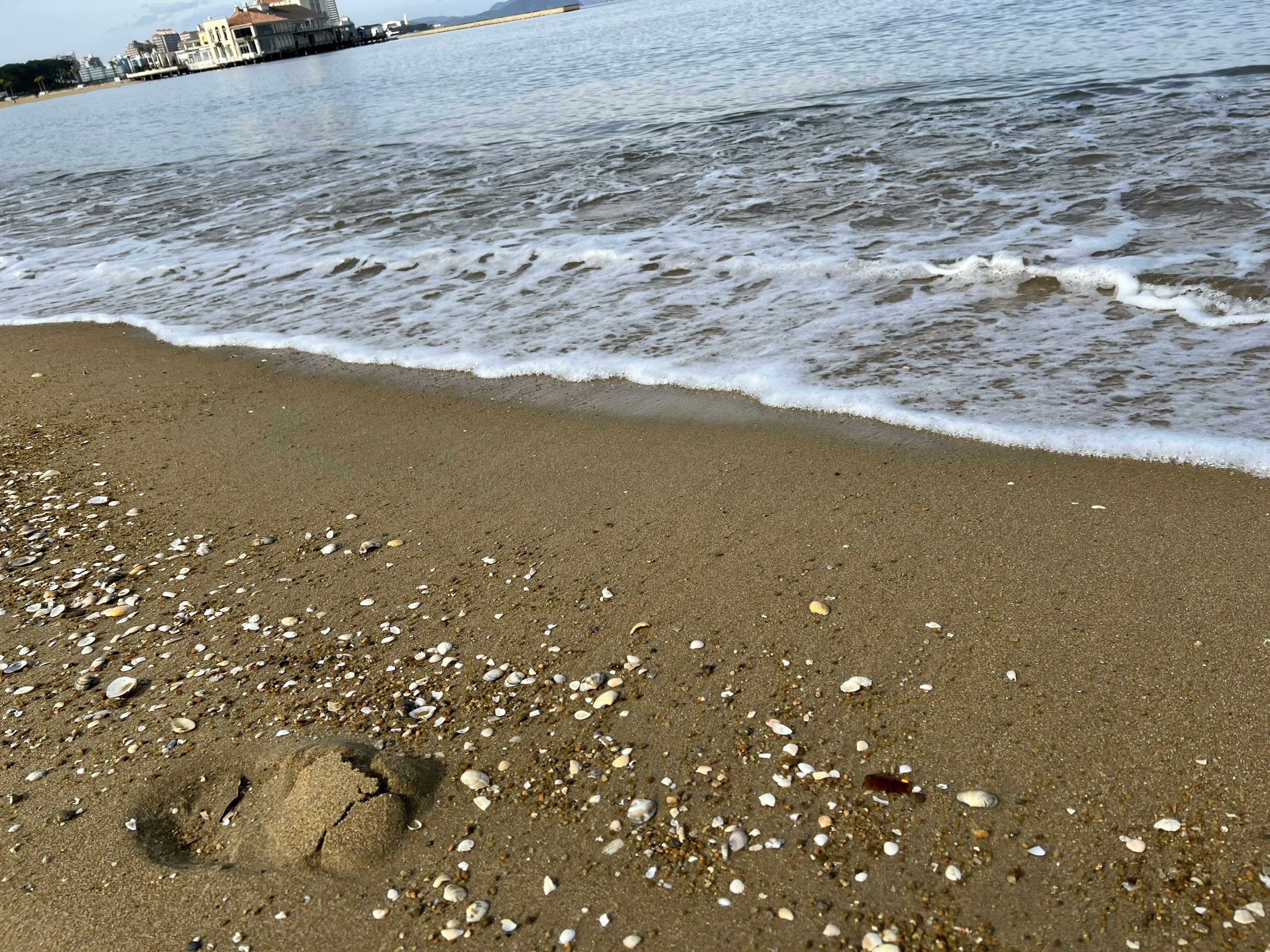 海岸の砂浜に波が寄せている様子と貝殻が散らばっている