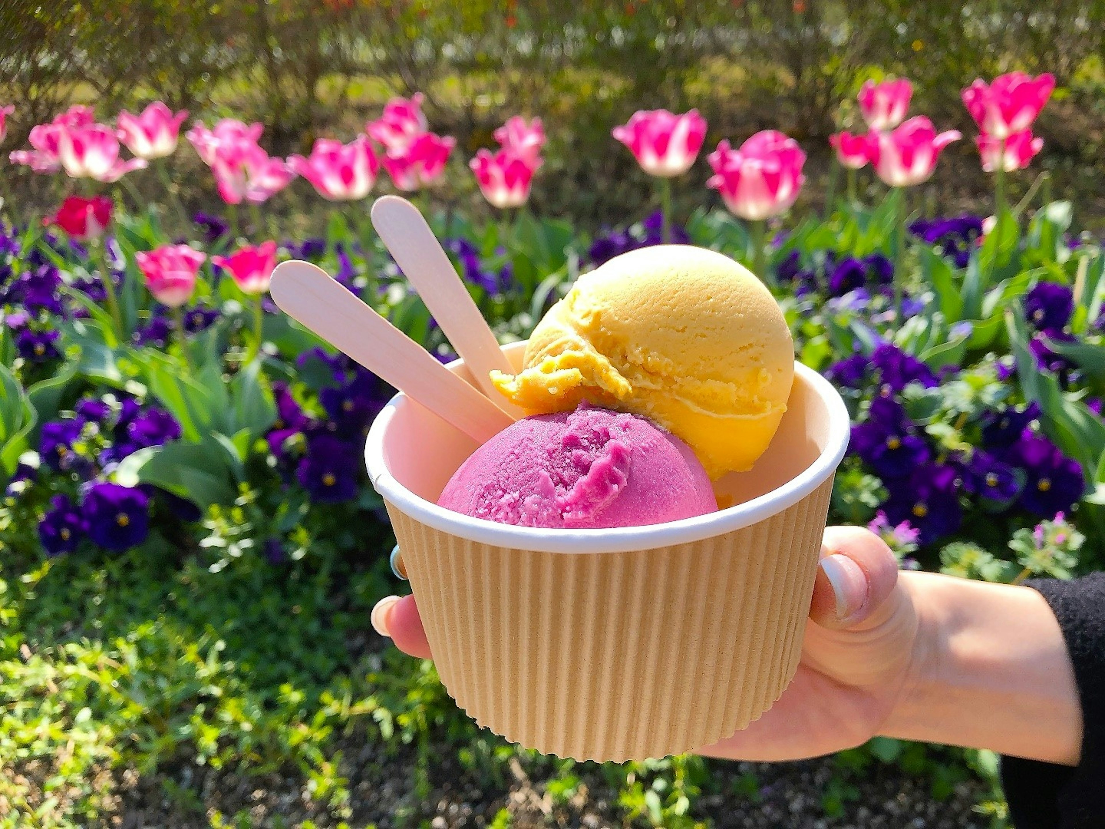 Una mano sosteniendo un vaso de helado frente a flores con bolas amarillas y rosas