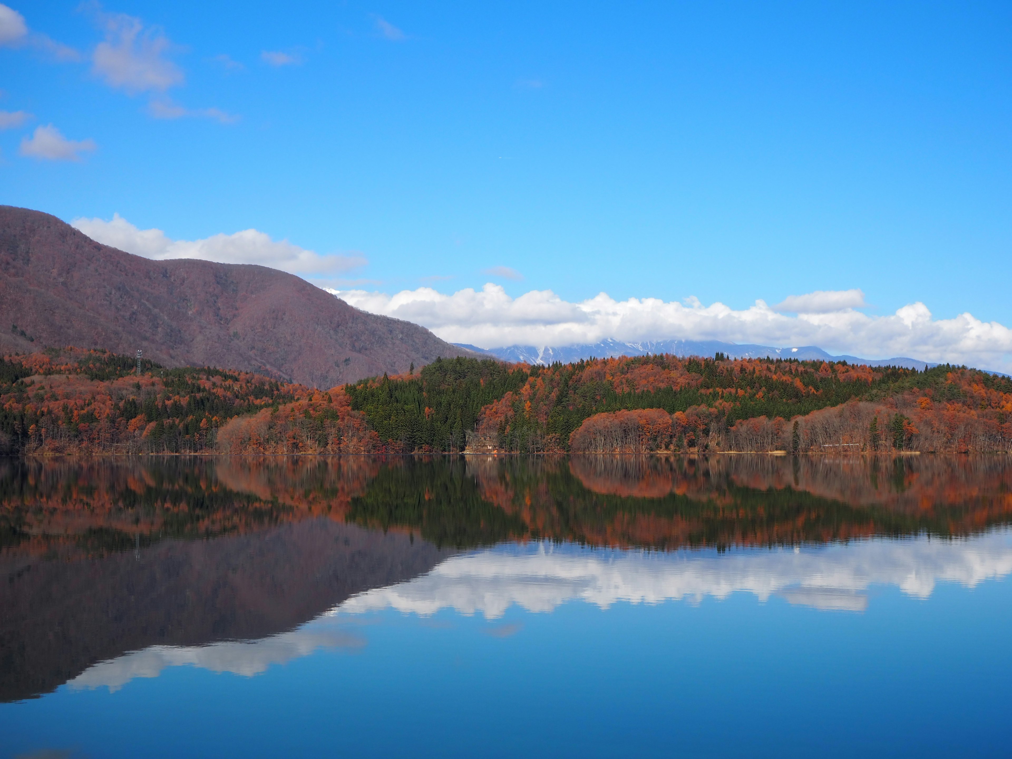 Scenic lake view with vibrant autumn trees reflecting in calm water under a clear blue sky