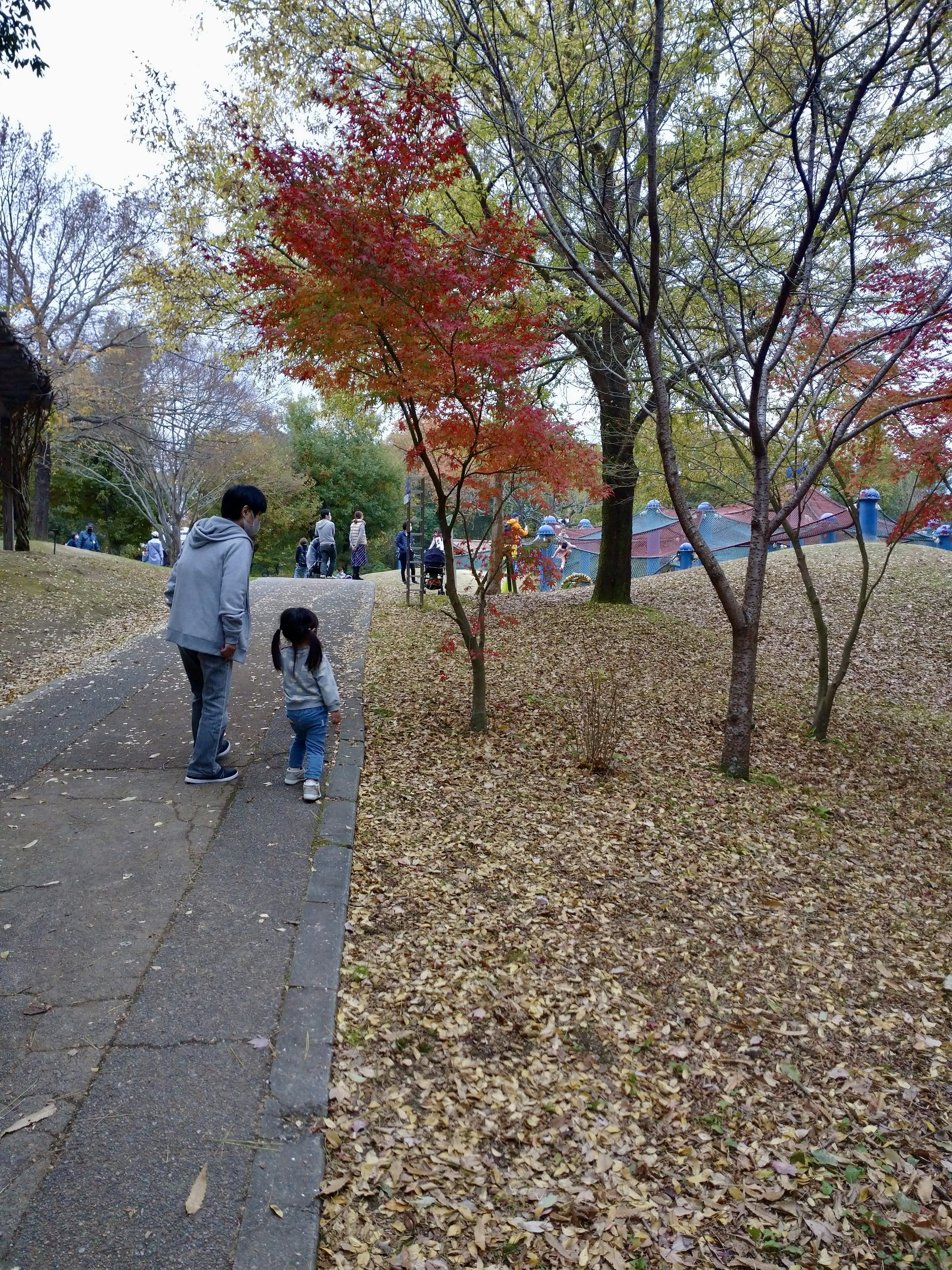 Un genitore e un bambino che camminano su un sentiero del parco circondati da foglie autunnali colorate e alberi con bambini che giocano sullo sfondo