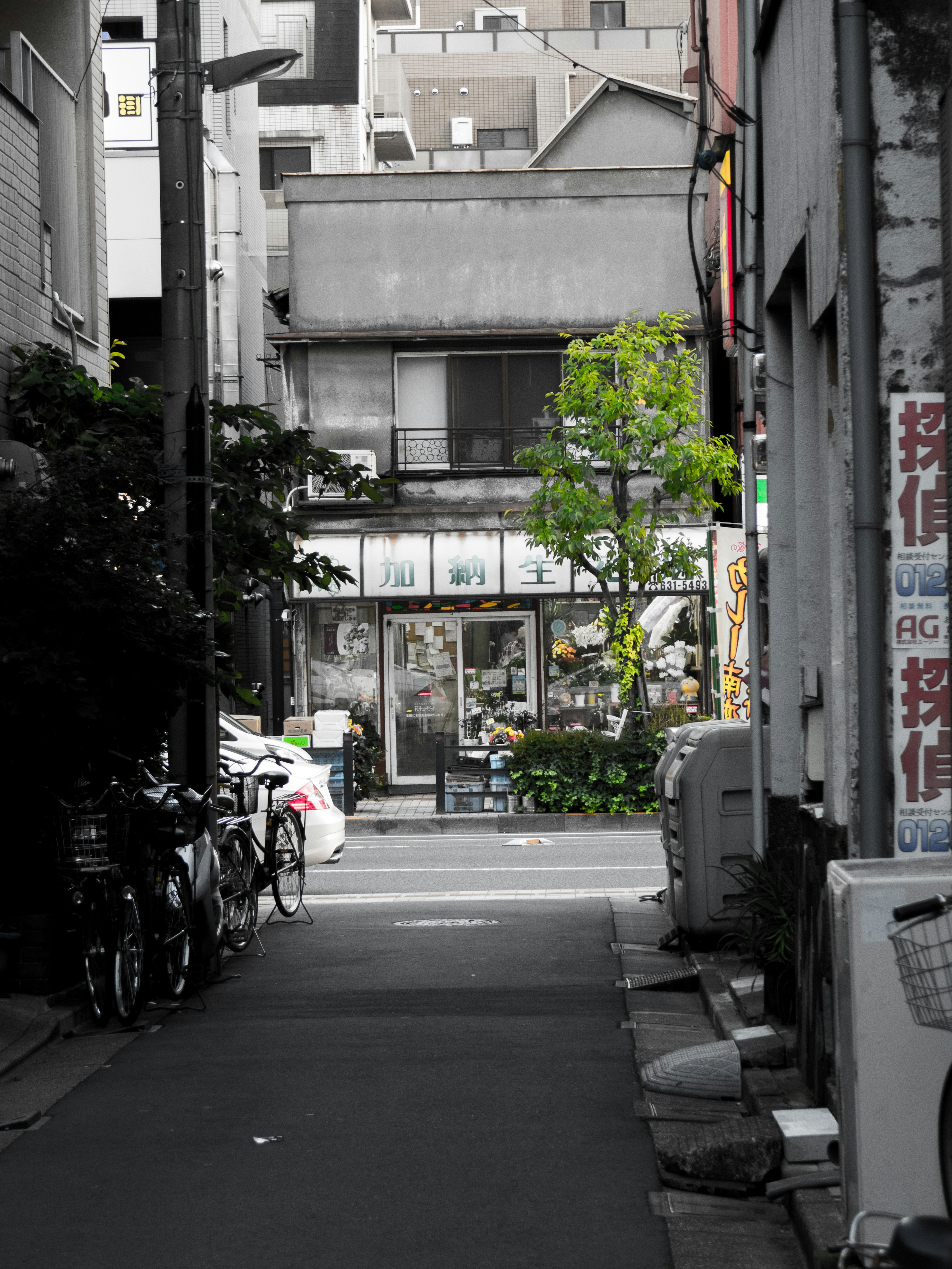 Narrow street with a shop front and green tree