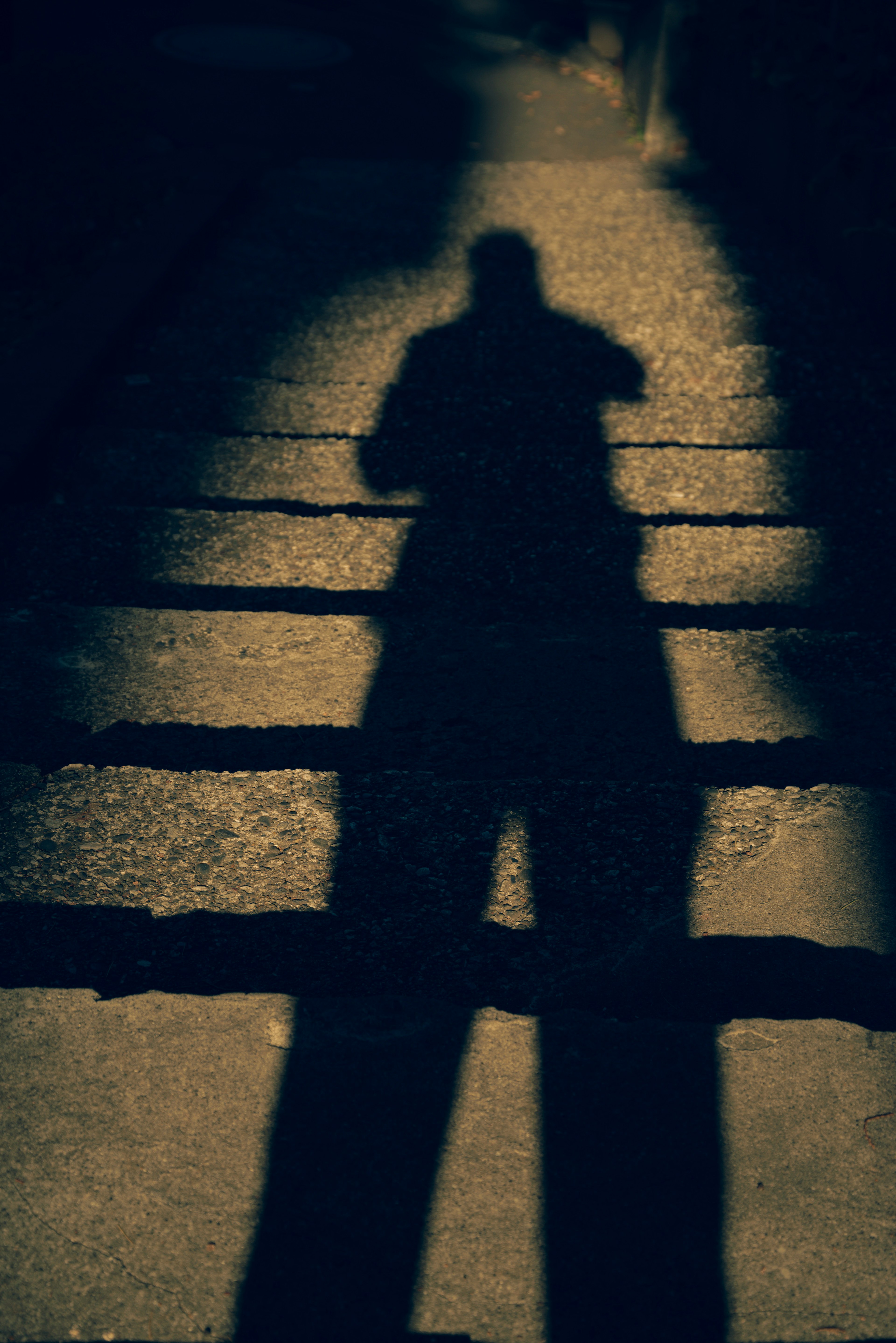 Shadow of a person on a dark path