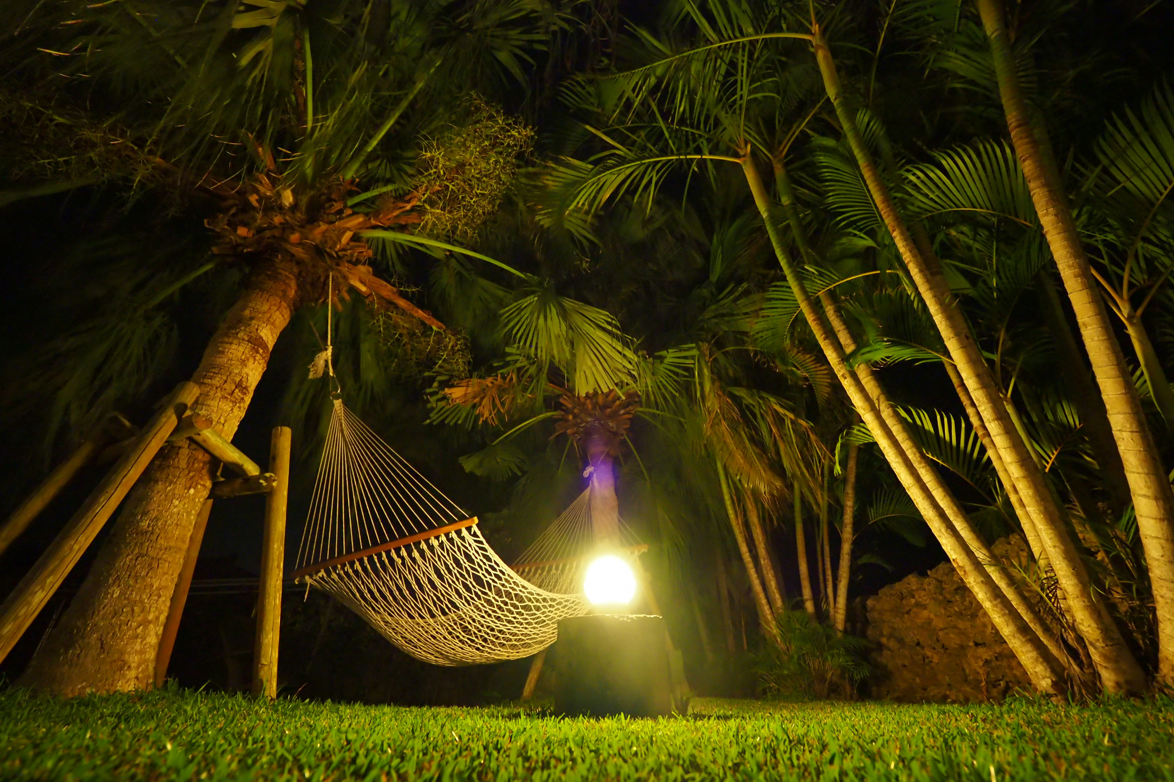 Escena nocturna relajante con una hamaca y palmeras