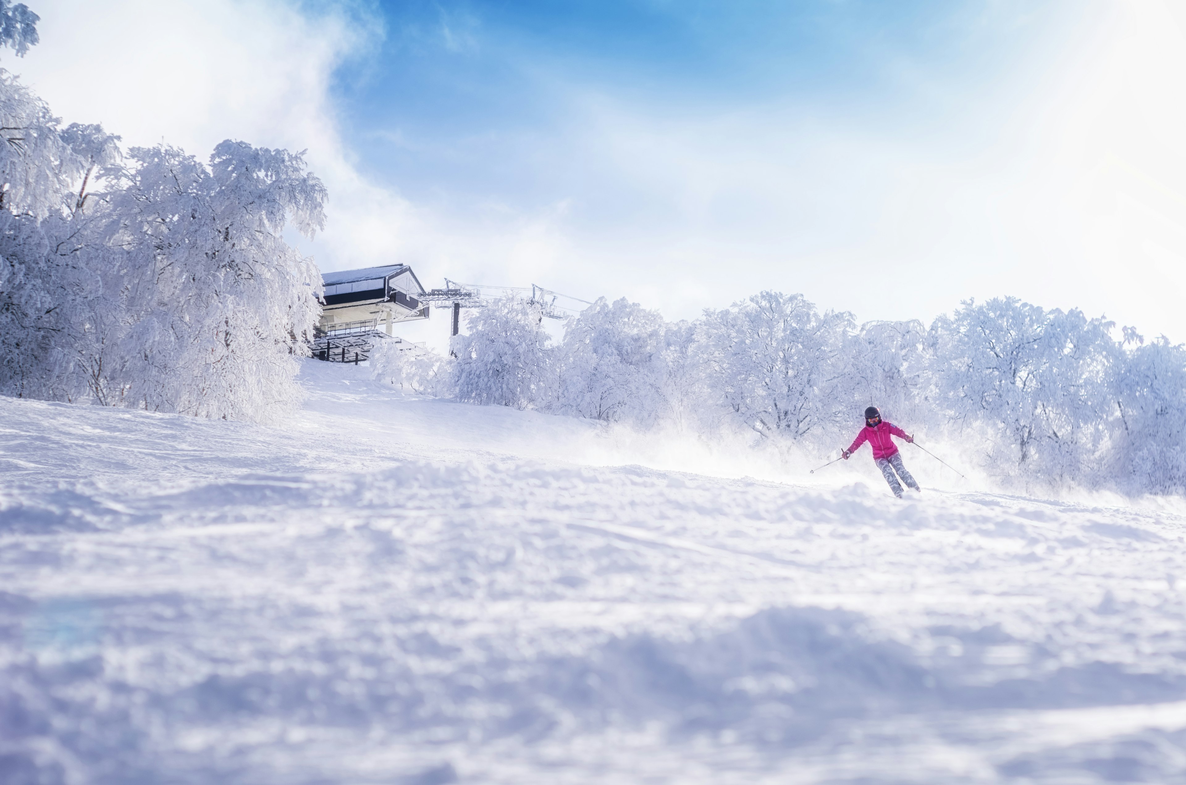 A skier in a pink outfit skiing on a snowy landscape with trees in the background