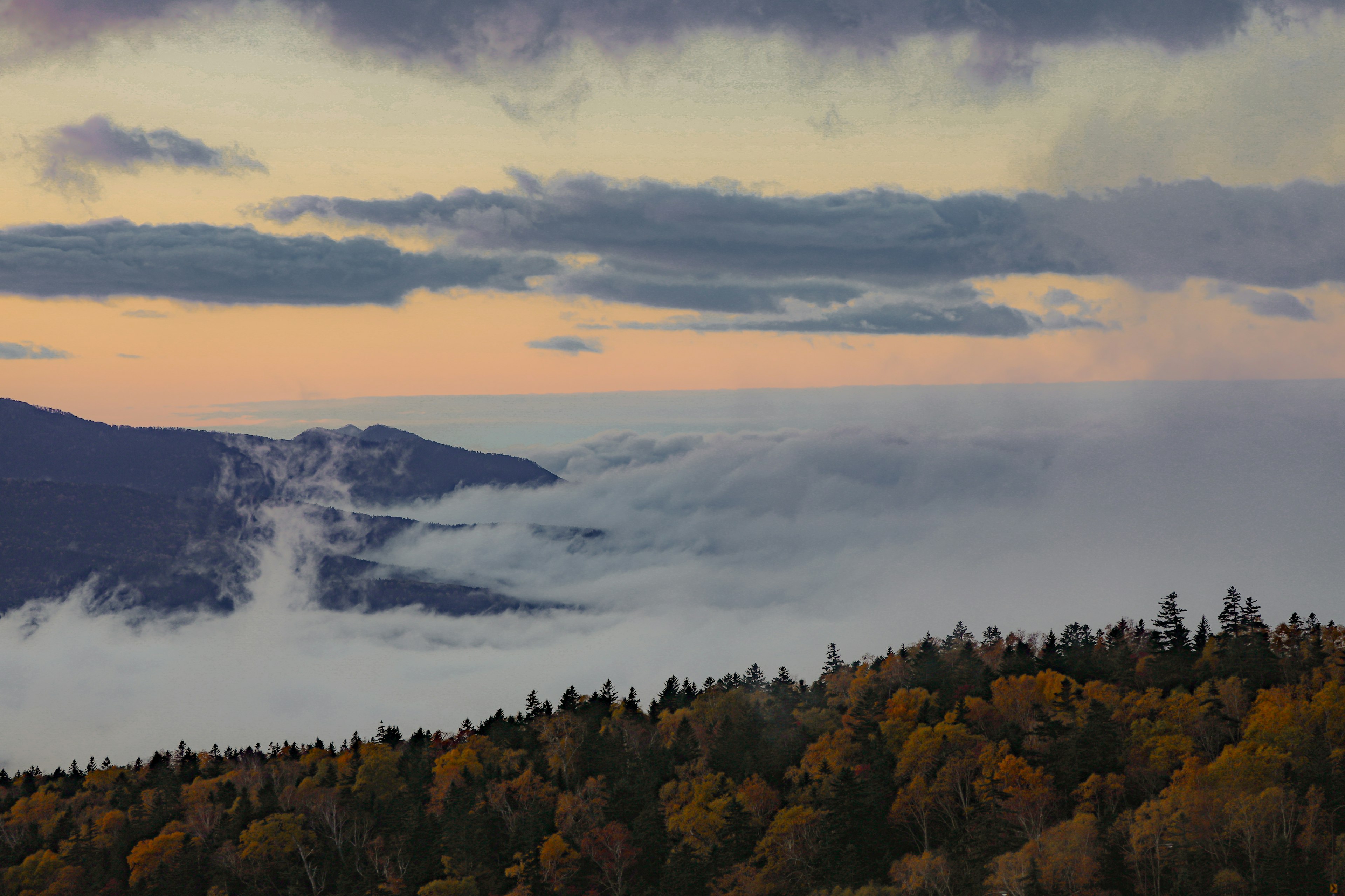 Belle montagne autunnale con un mare di nuvole