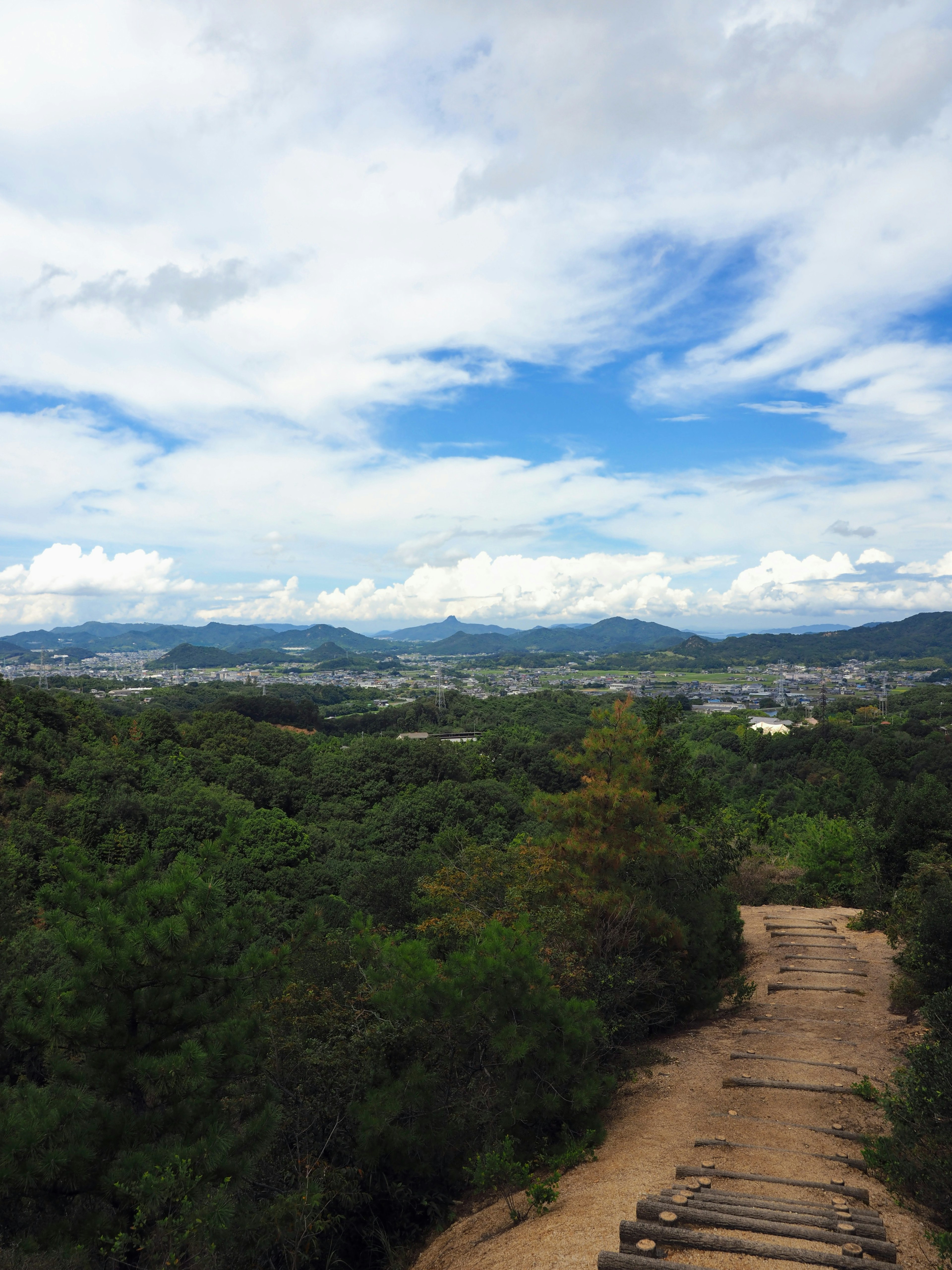 Landschaft mit blauem Himmel und weißen Wolken über grünen Bäumen und einem Schotterweg