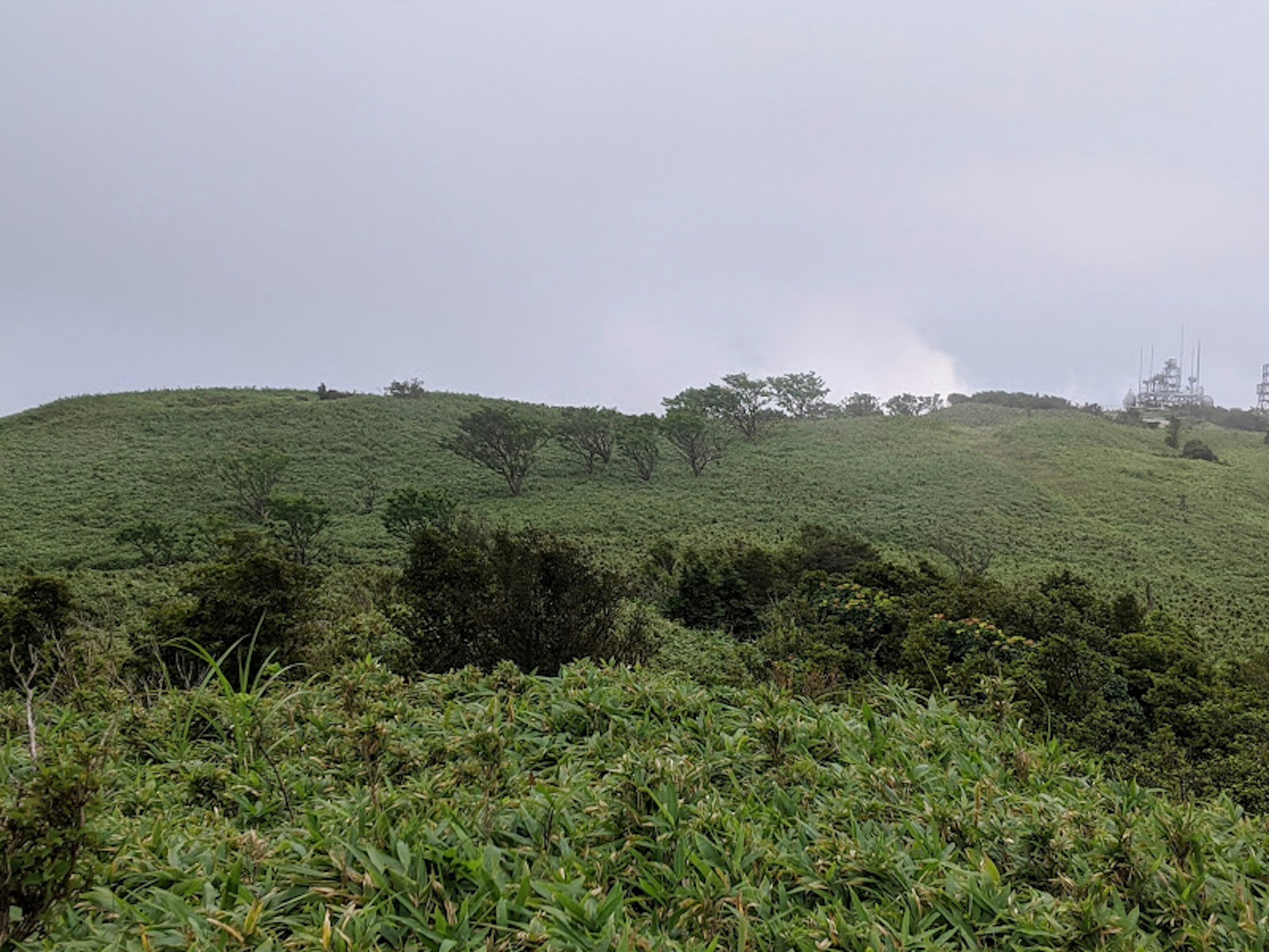 Bukit hijau yang diselimuti kabut