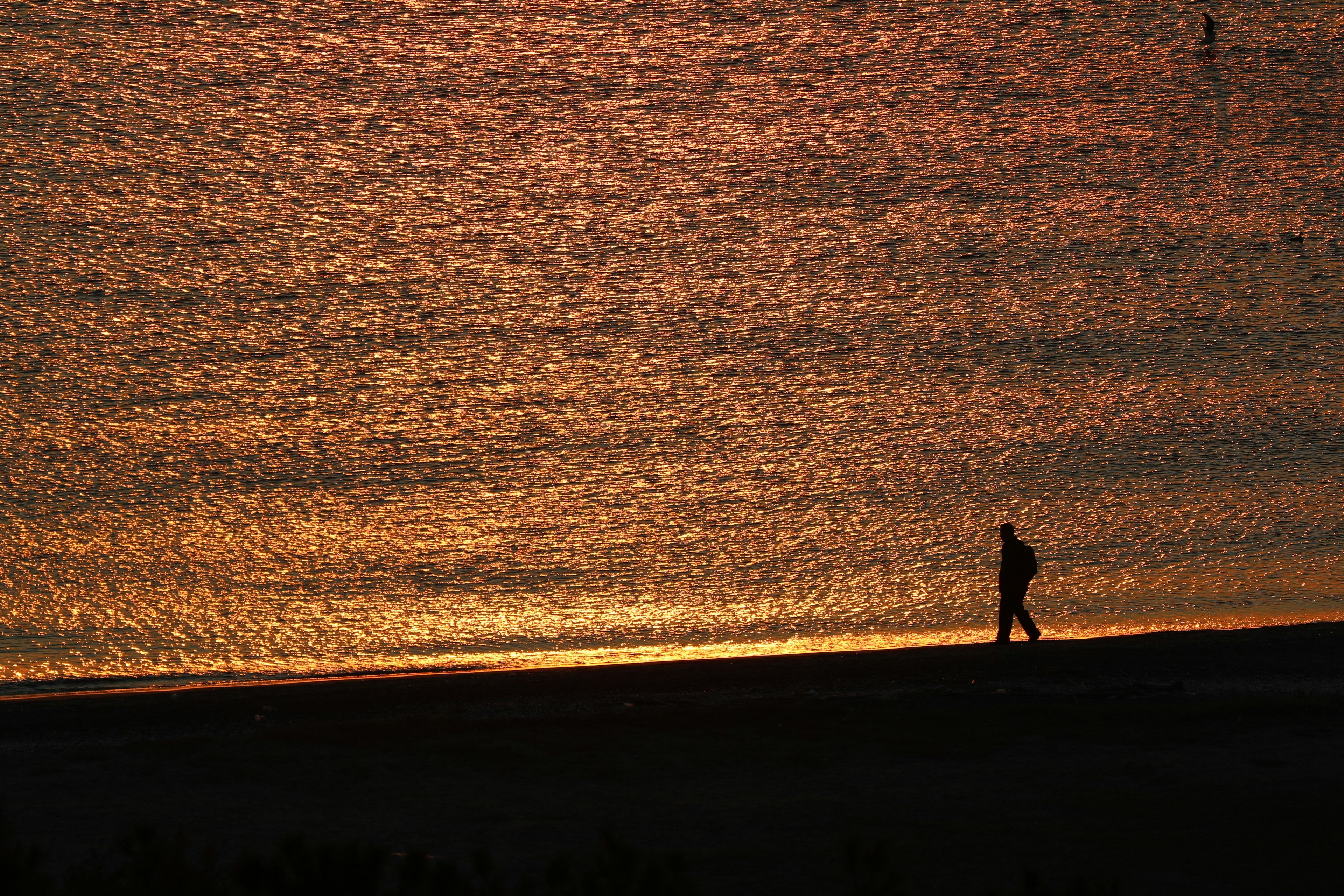 Silhouette of a person walking against the backdrop of a sunset