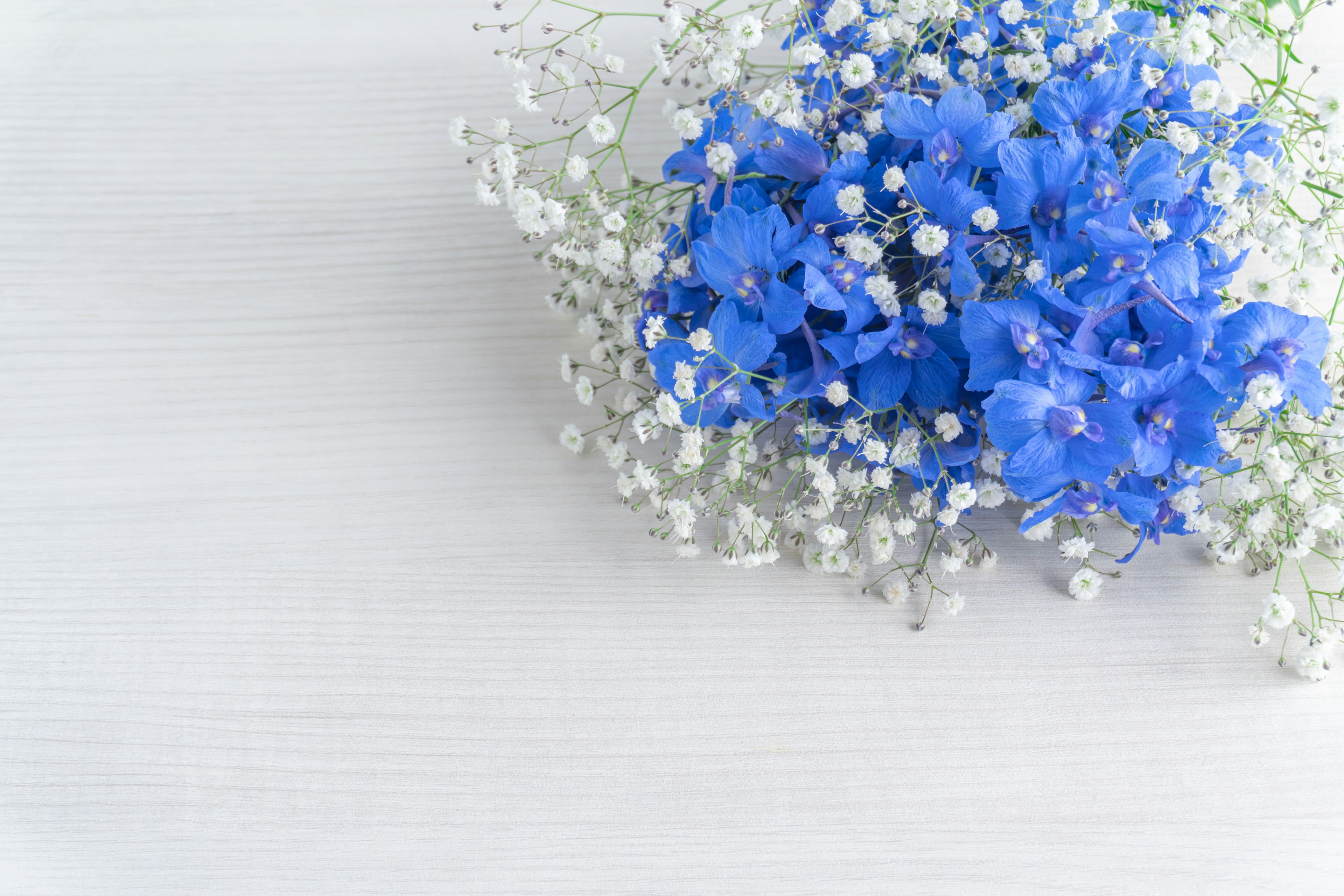 Un bellissimo bouquet con fiori blu e alito di bambino bianco