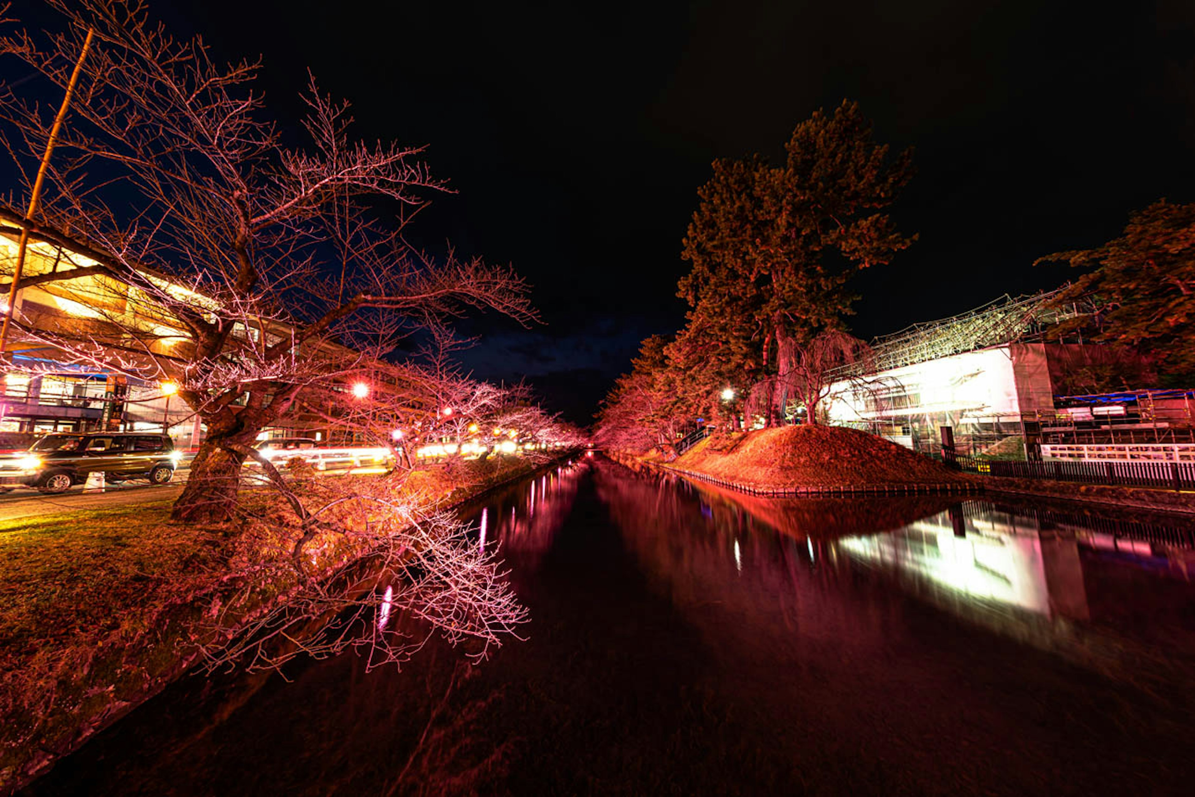 夜の川沿いに並ぶ桜の木と光る屋台の風景