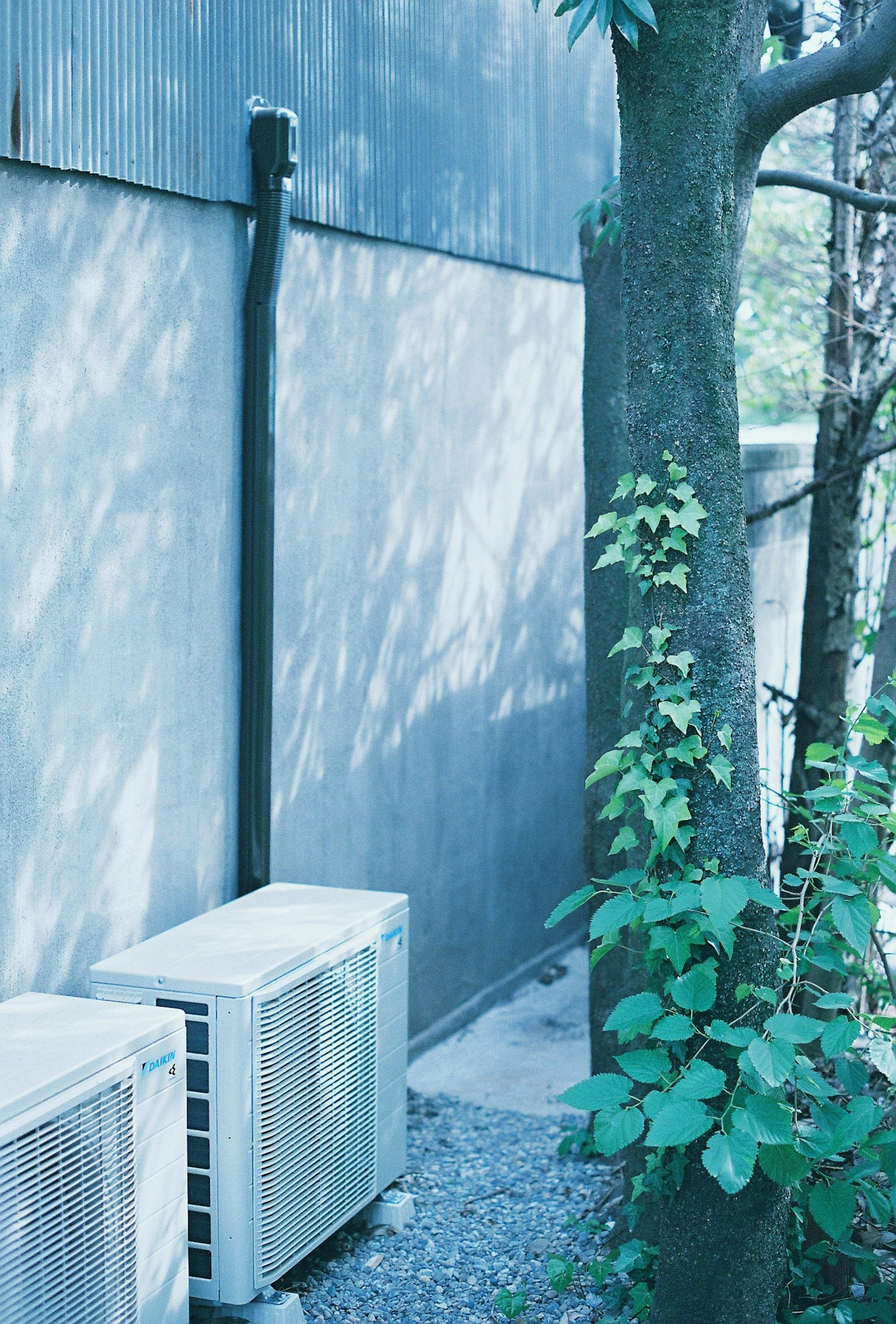 Deux unités de climatisation à côté d'un mur bleu et d'un tronc d'arbre