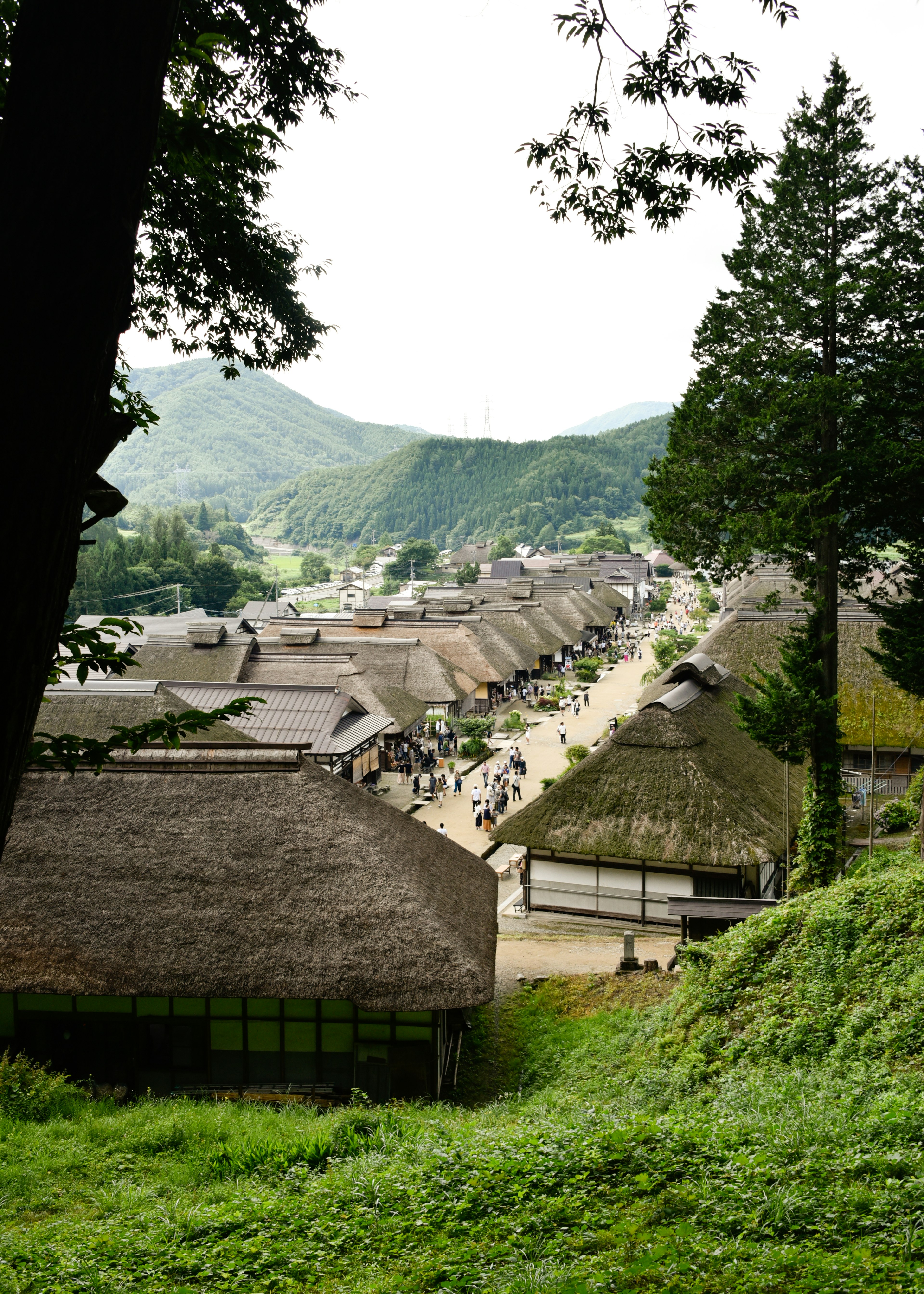 山間の伝統的な村の風景で、茅葺き屋根の家々が並ぶ