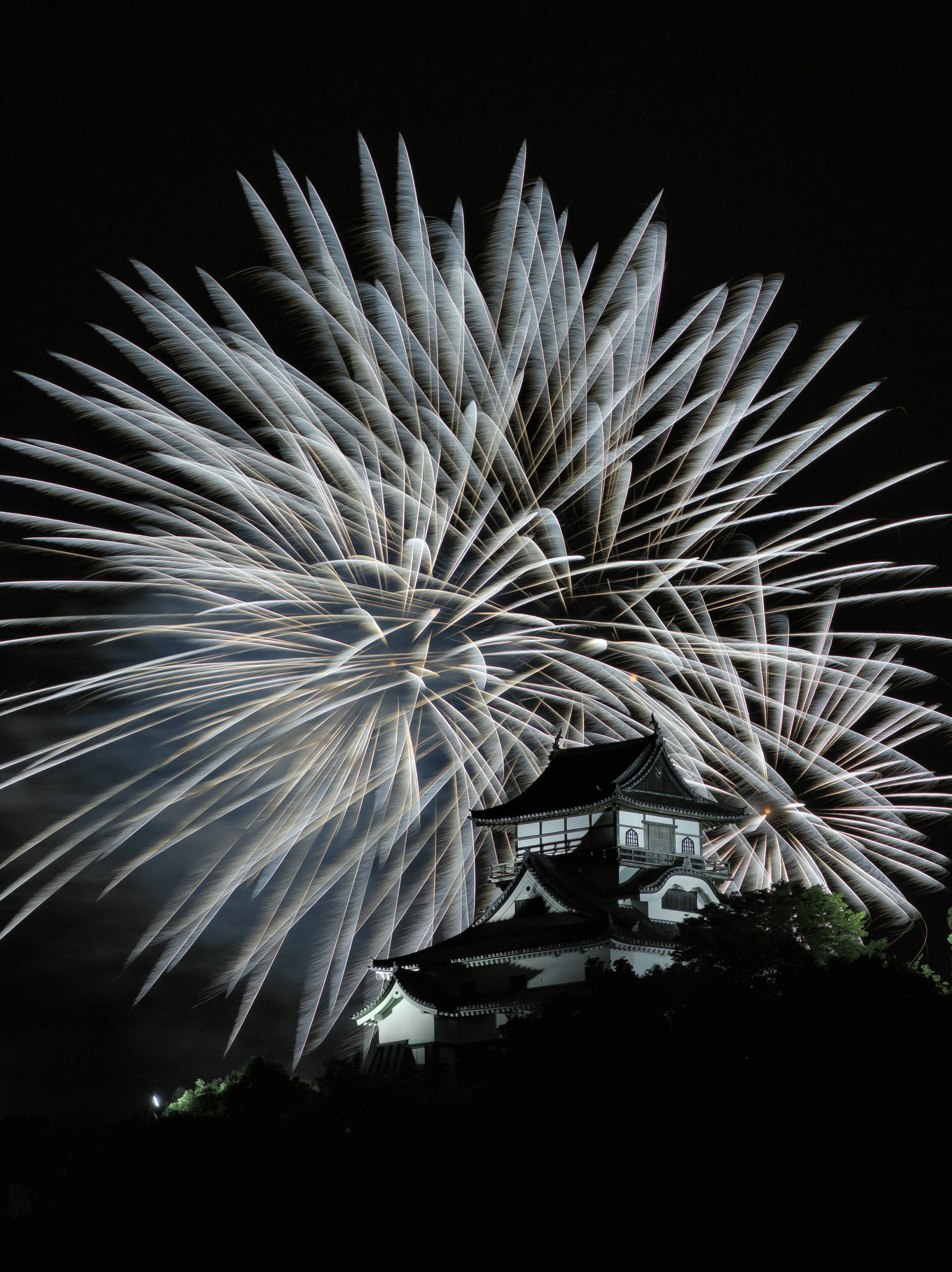 夜空に花火が打ち上げられ、背景には城のシルエットが見える