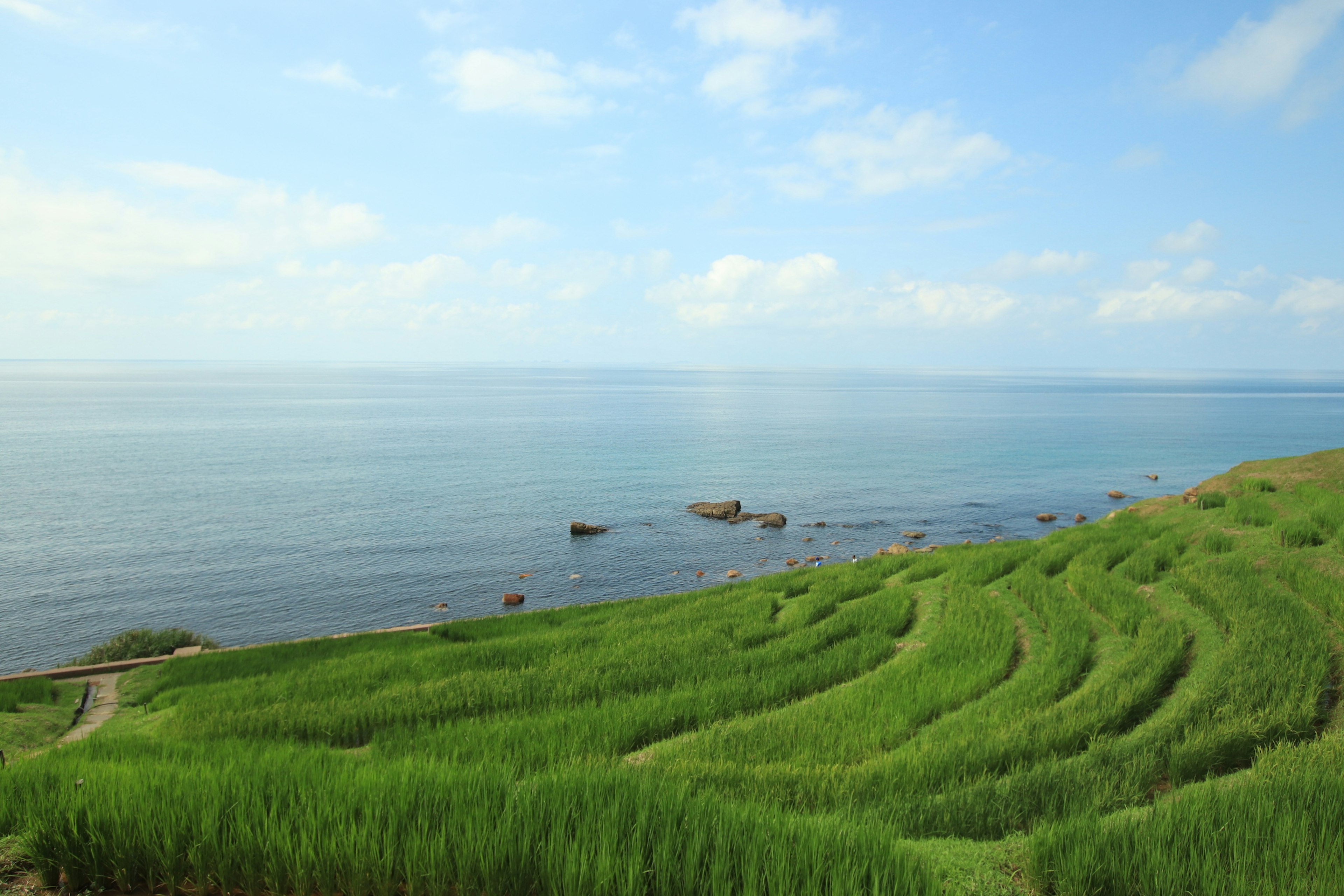 Pemandangan dengan laut biru dan sawah teras hijau subur