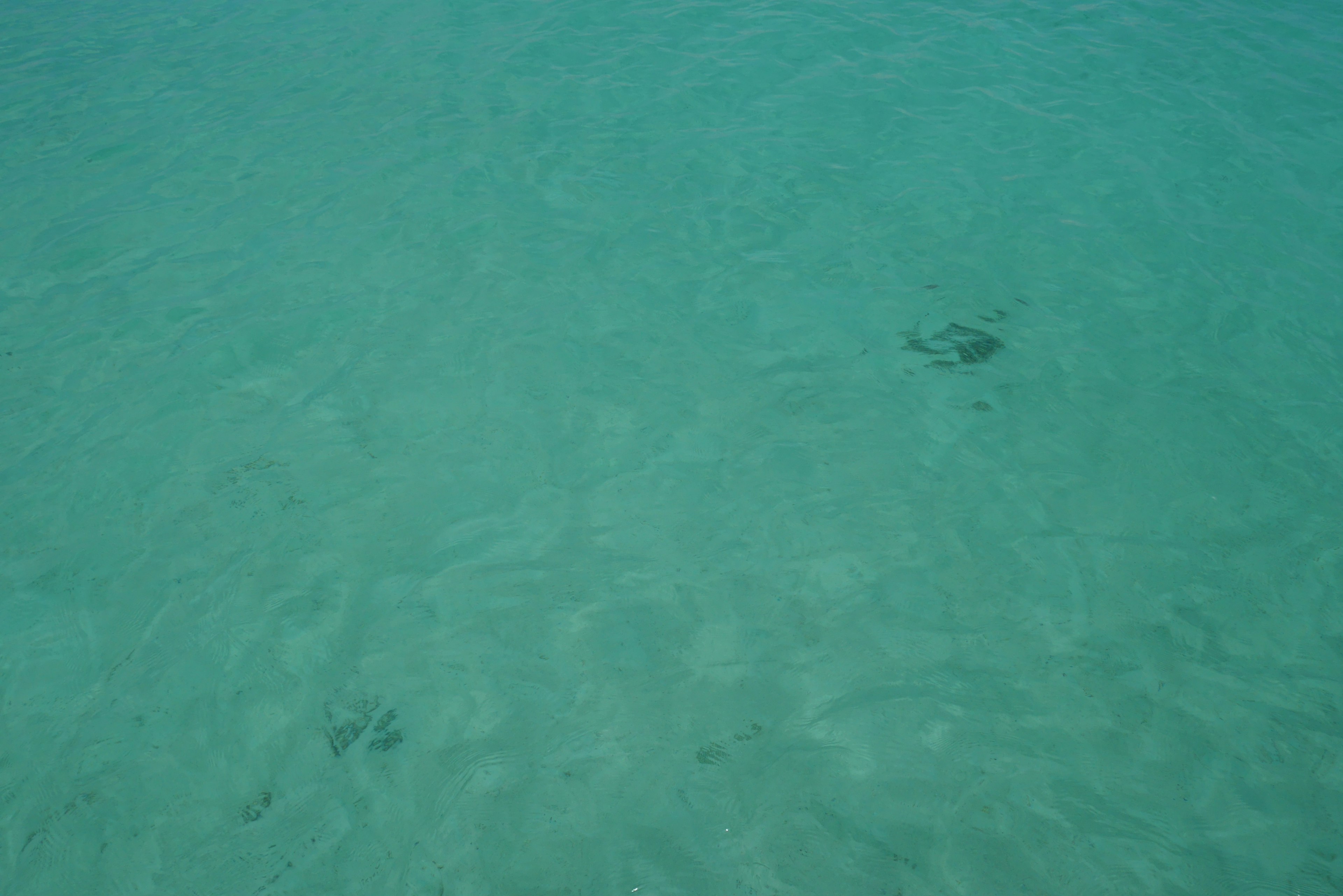 Sombras visibles en el agua clara del océano