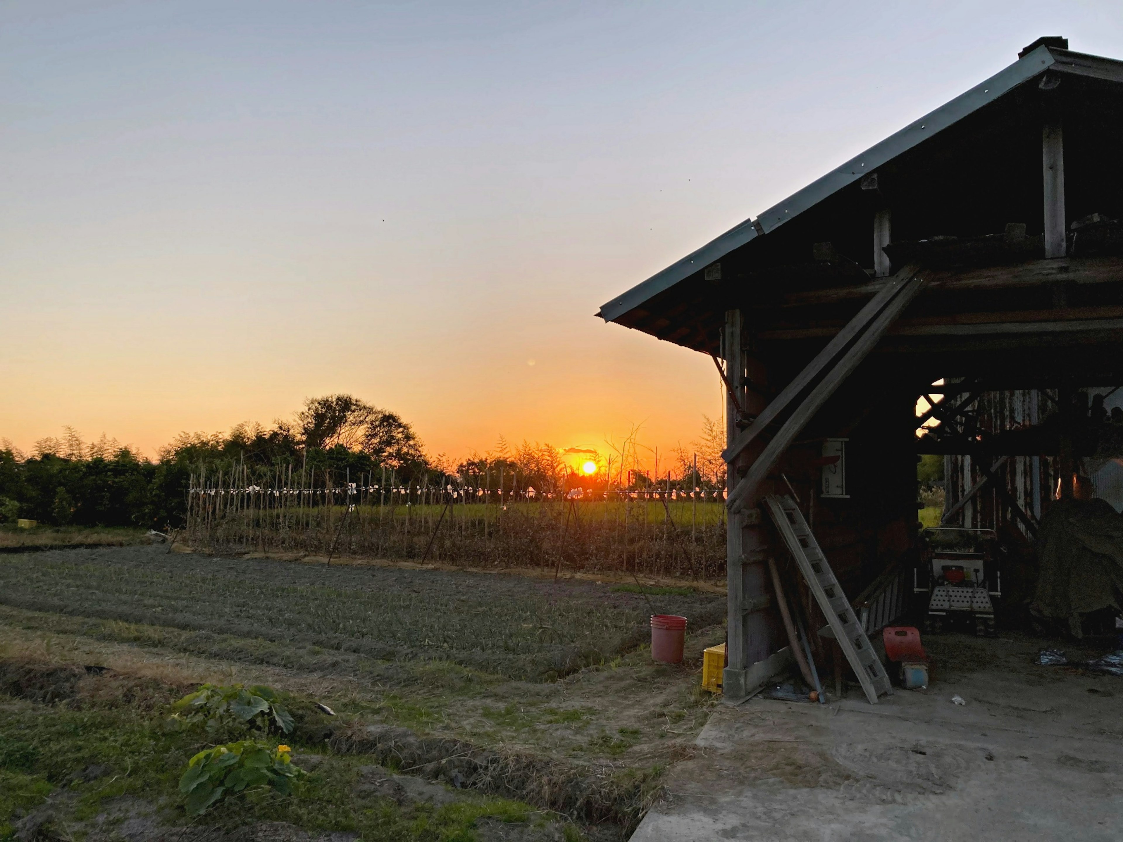 Escena de granja con atardecer y cobertizo