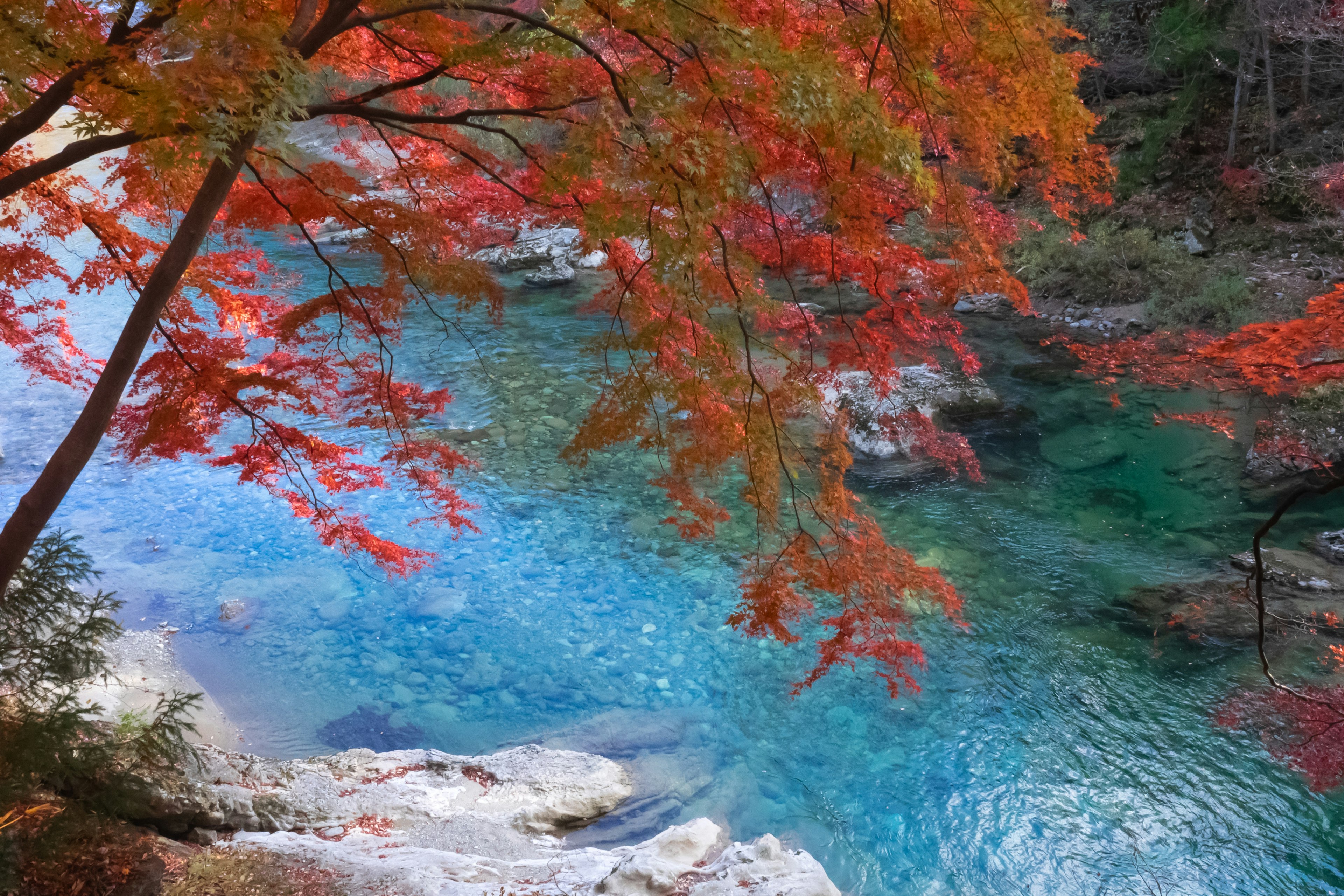 Malerscher Blick auf einen Fluss mit lebhaftem Herbstlaub und klarem blauem Wasser