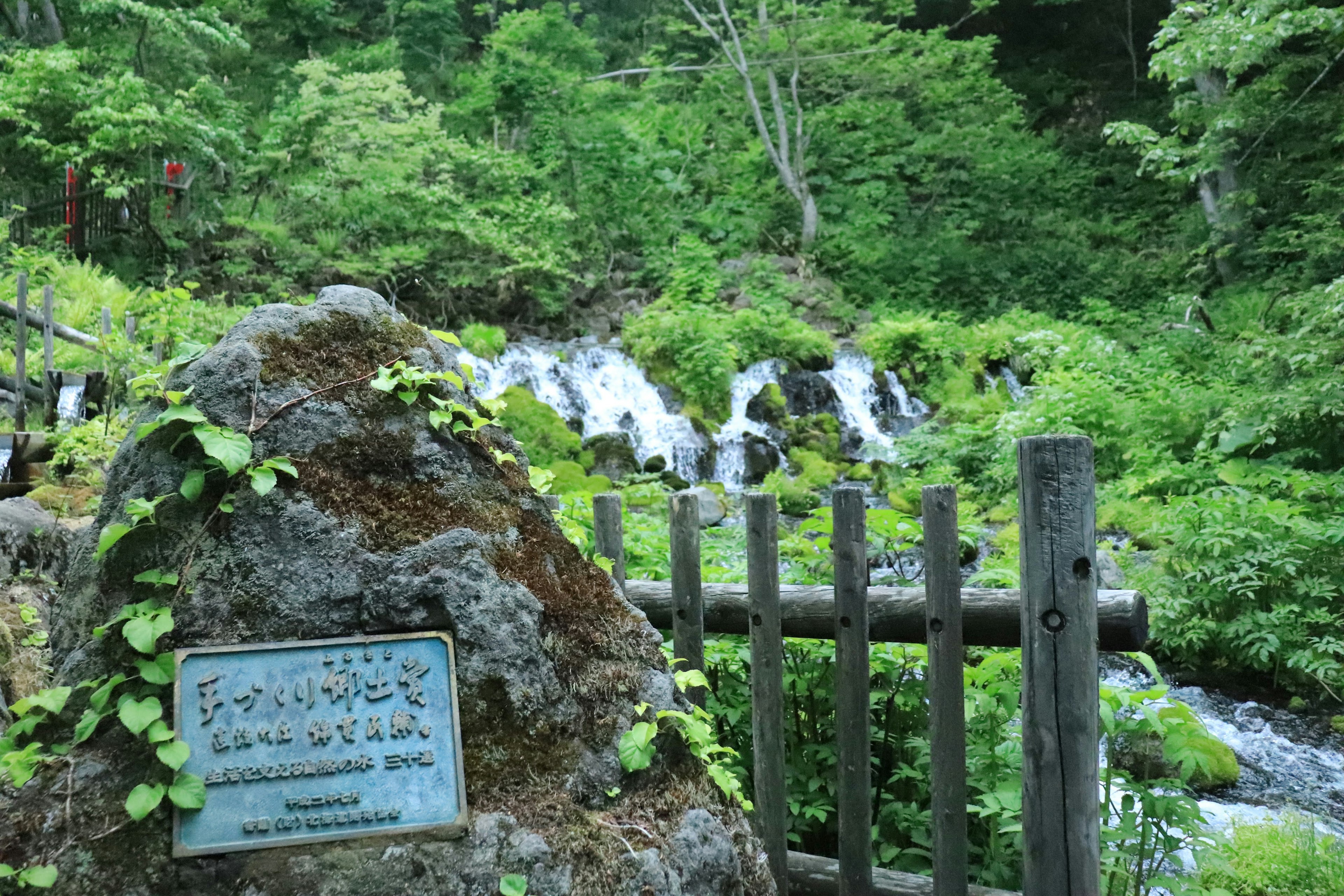 Vista panoramica di una piccola cascata e di un monumento in pietra in una foresta verdeggiante