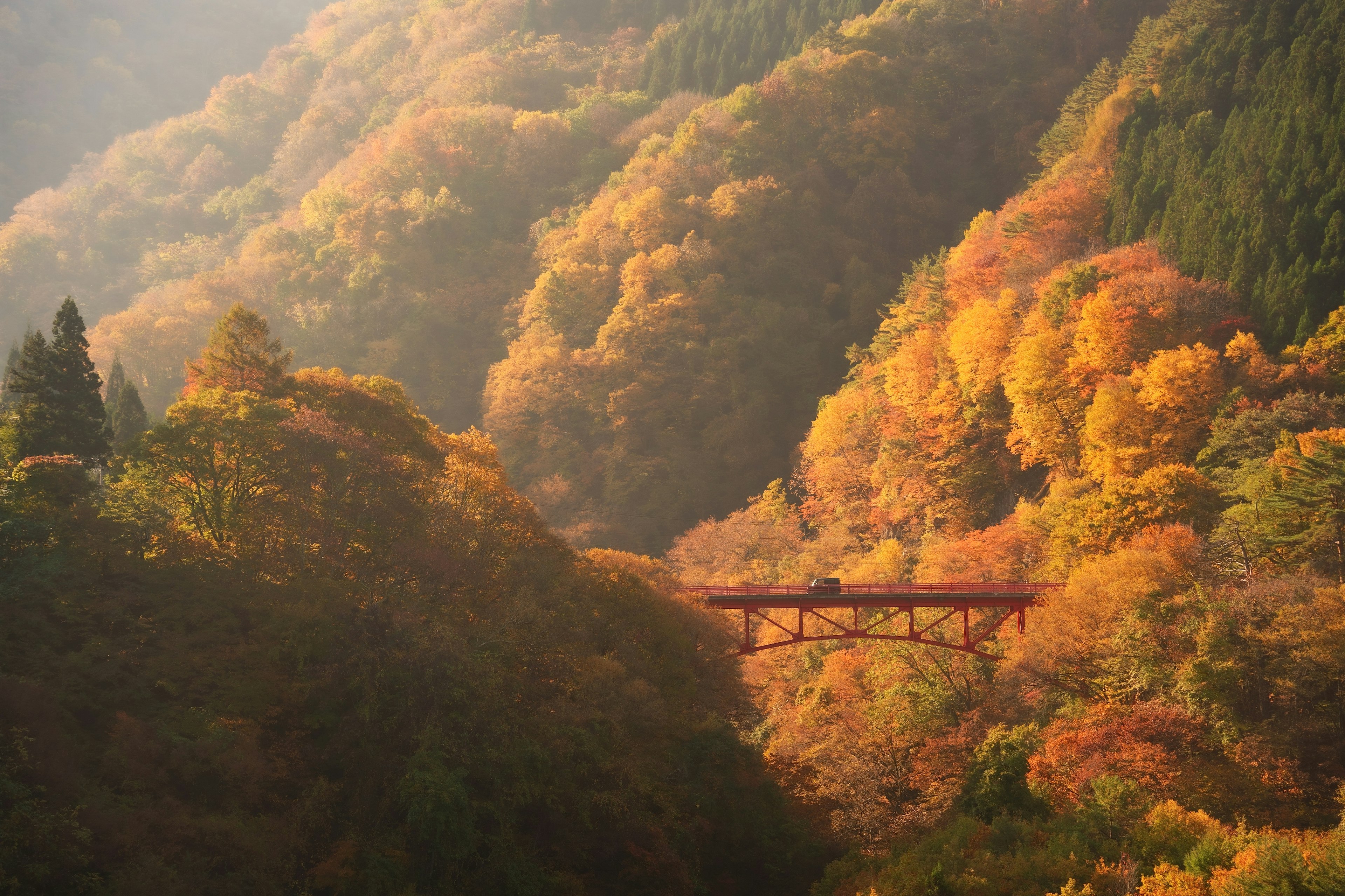 秋の色に染まった山々と赤い橋の風景