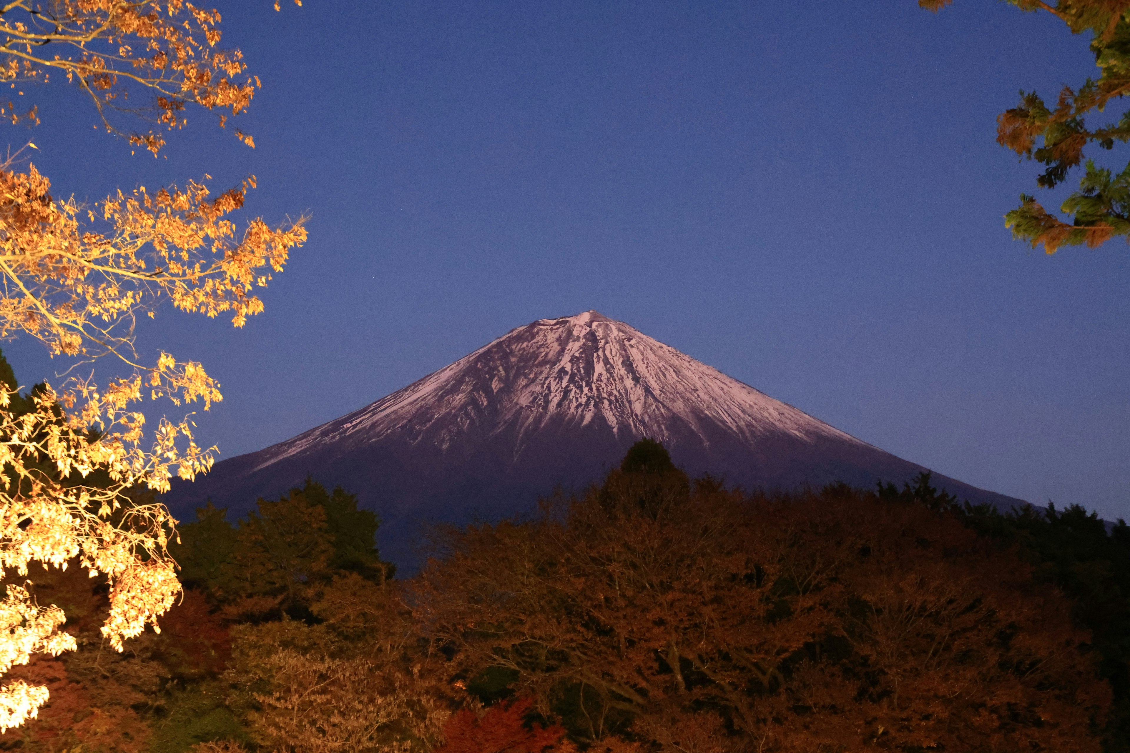 Vue nocturne du mont Fuji avec feuillage automnal