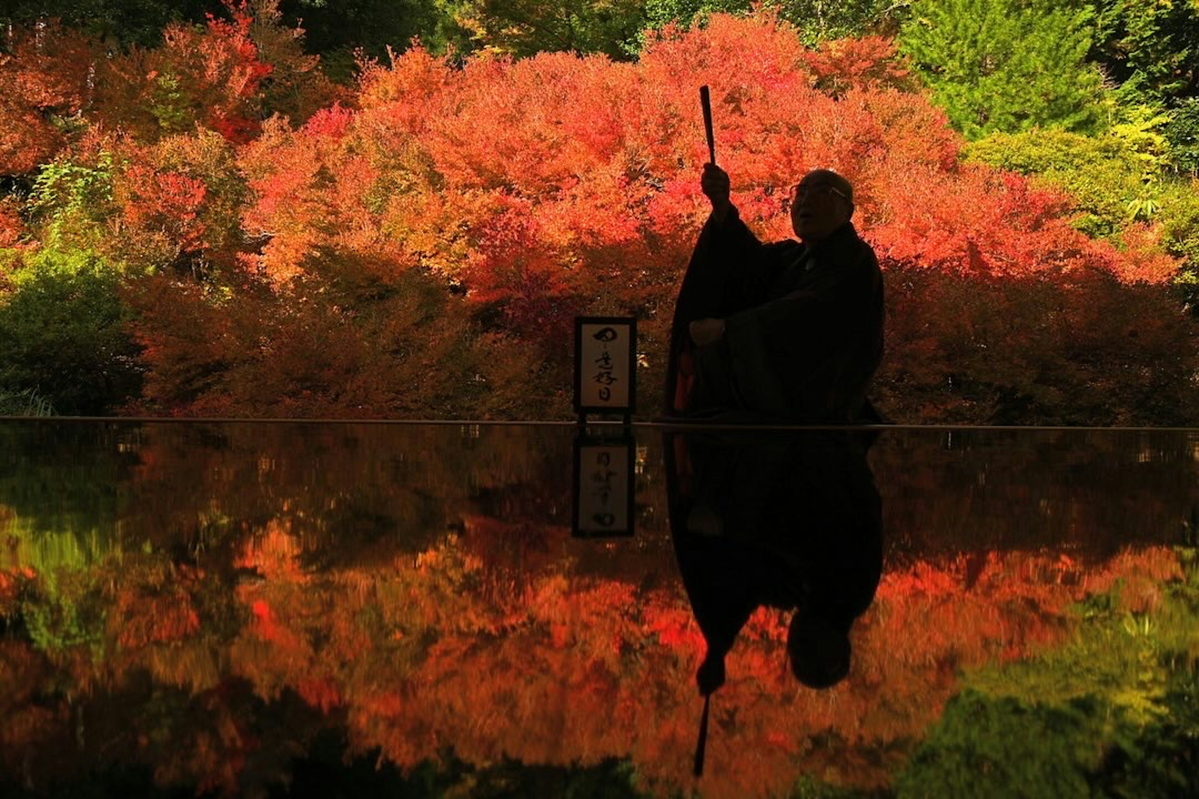 Silhouette of a warrior standing amidst autumn foliage reflecting on water