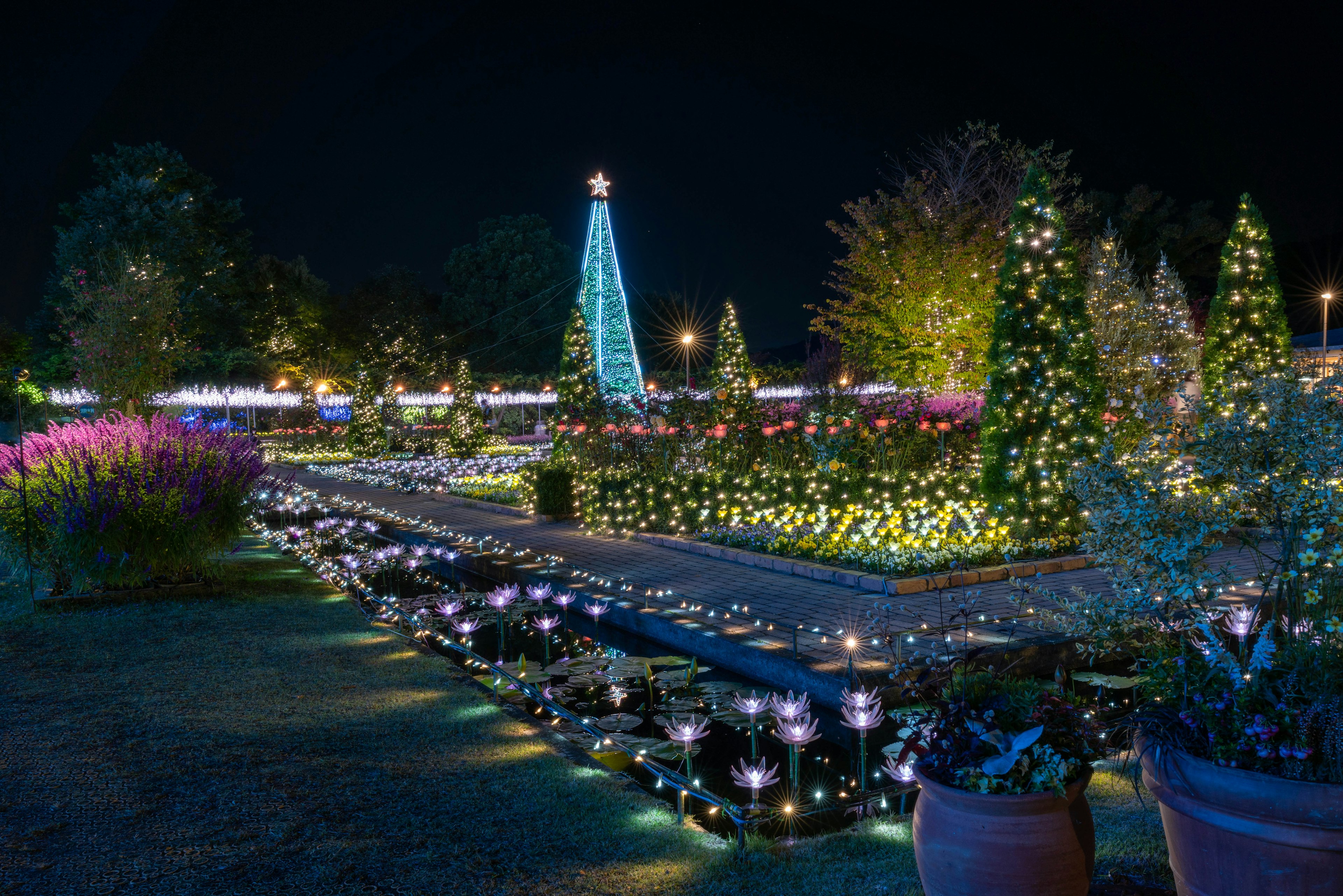 Abendlicher Garten mit beleuchtetem Weihnachtsbaum und bunten Lichtern