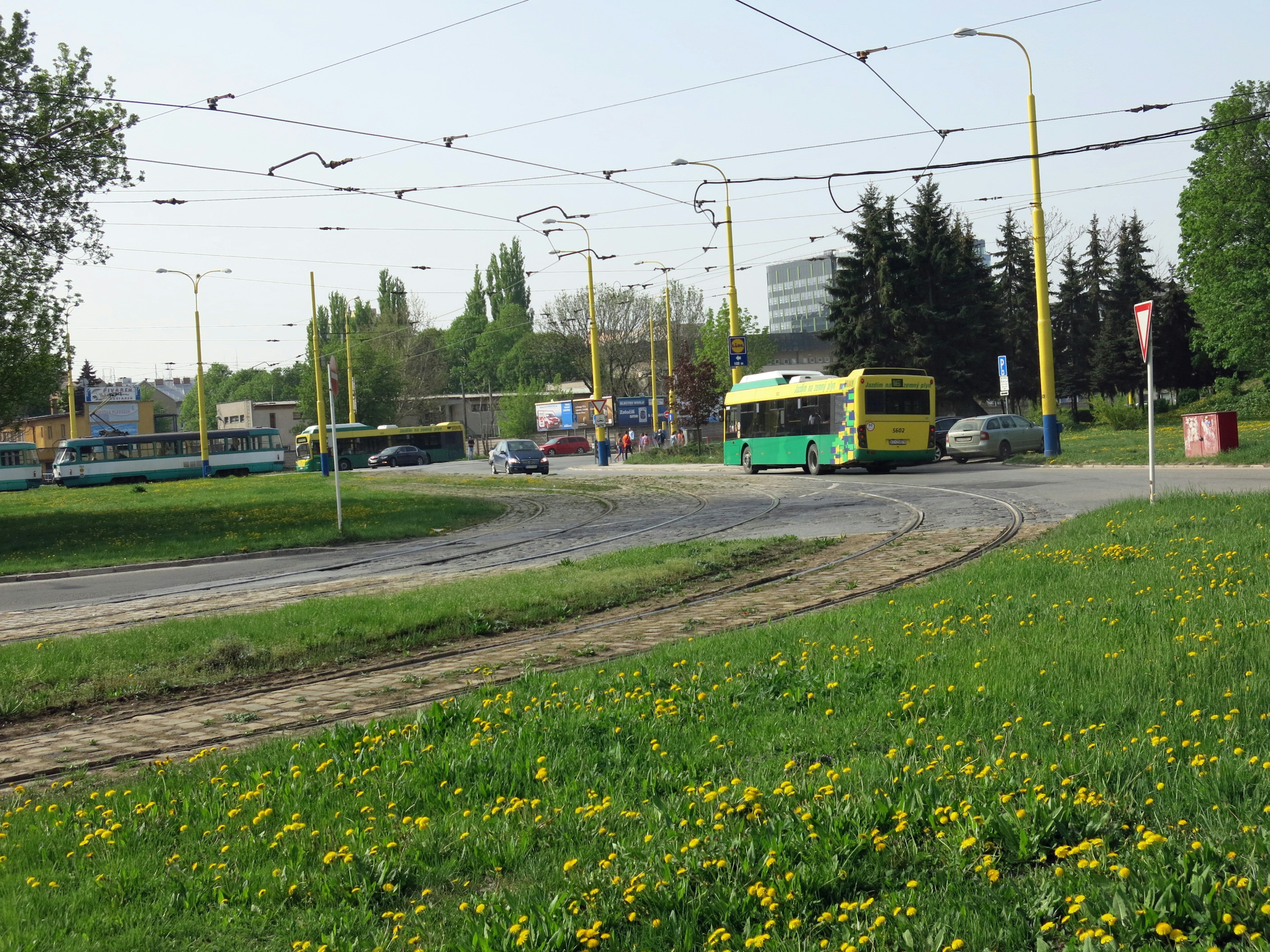 Vista di un tram verde e giallo che si avvicina a un incrocio con erba verde e fiori gialli