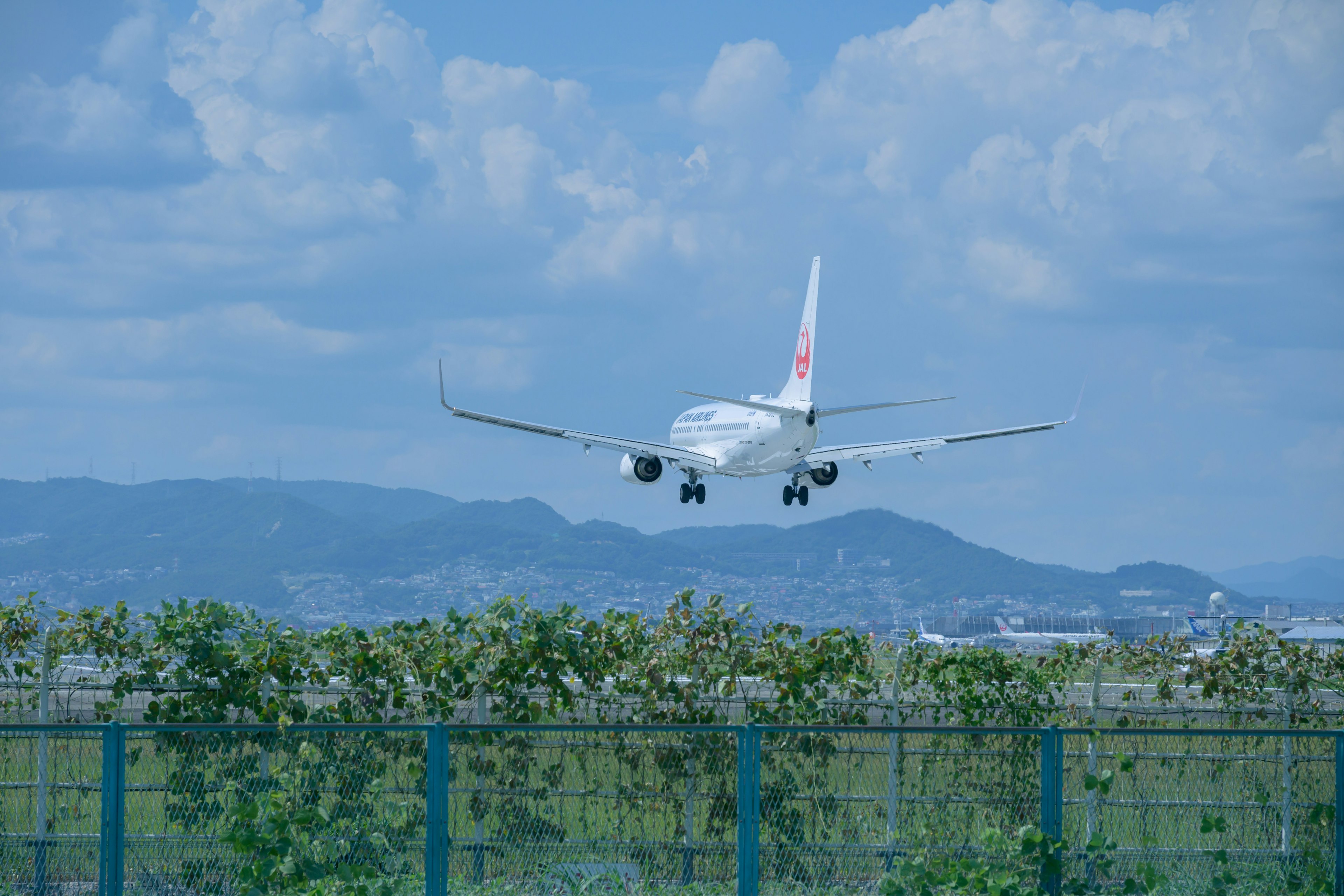 Un aereo in fase di atterraggio contro un cielo blu con nuvole erba e una recinzione in primo piano