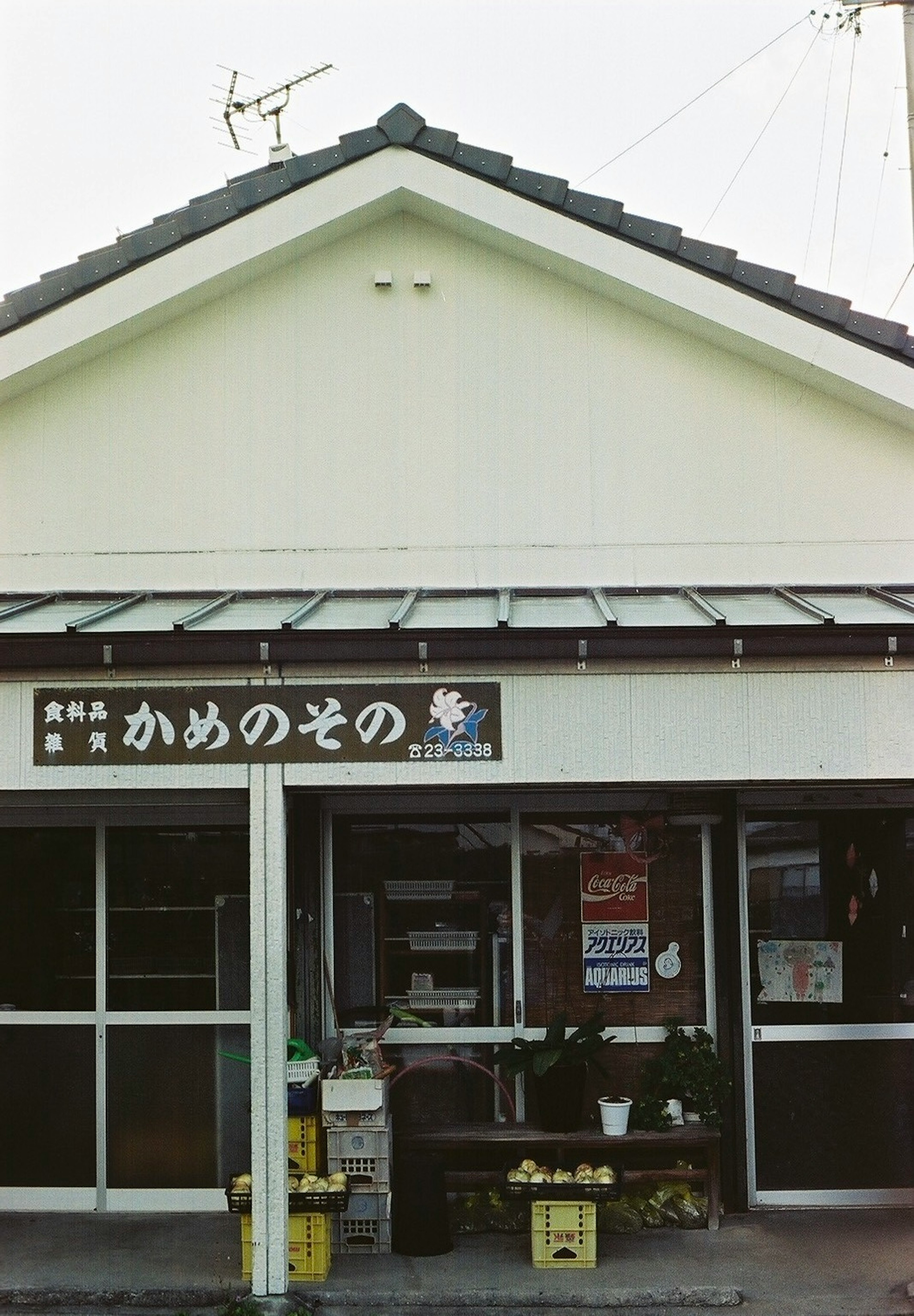 Petit magasin avec une façade blanche et des boîtes de fruits devant