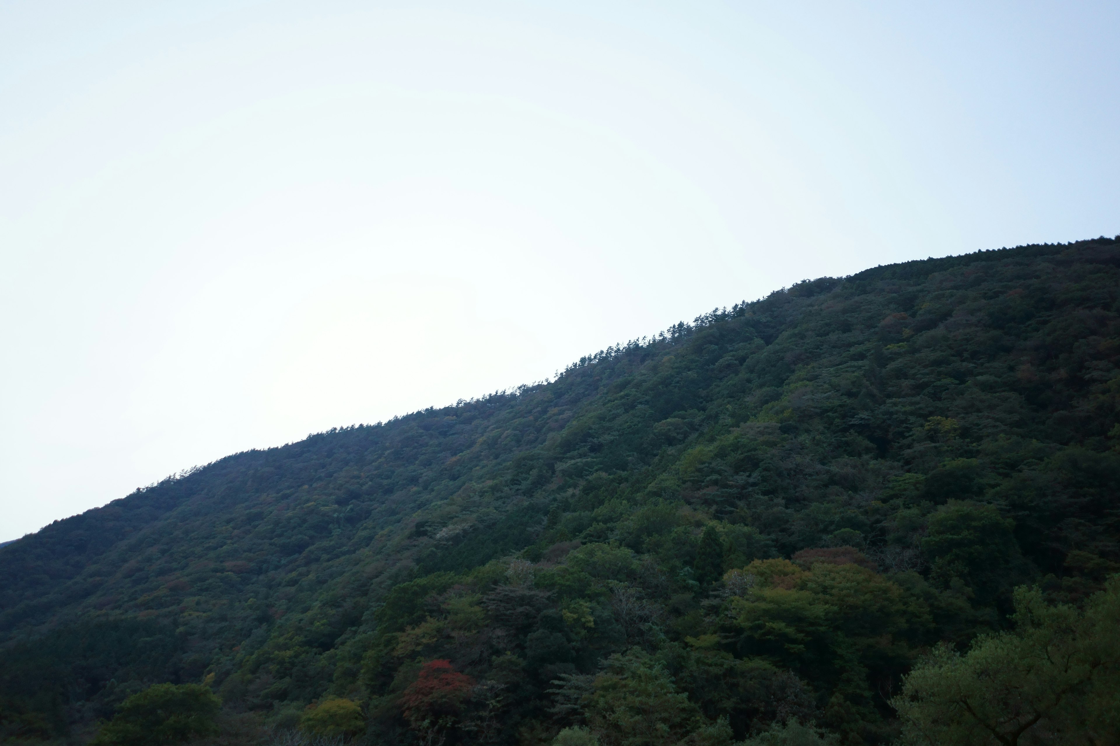 緑豊かな山の斜面と穏やかな空の風景