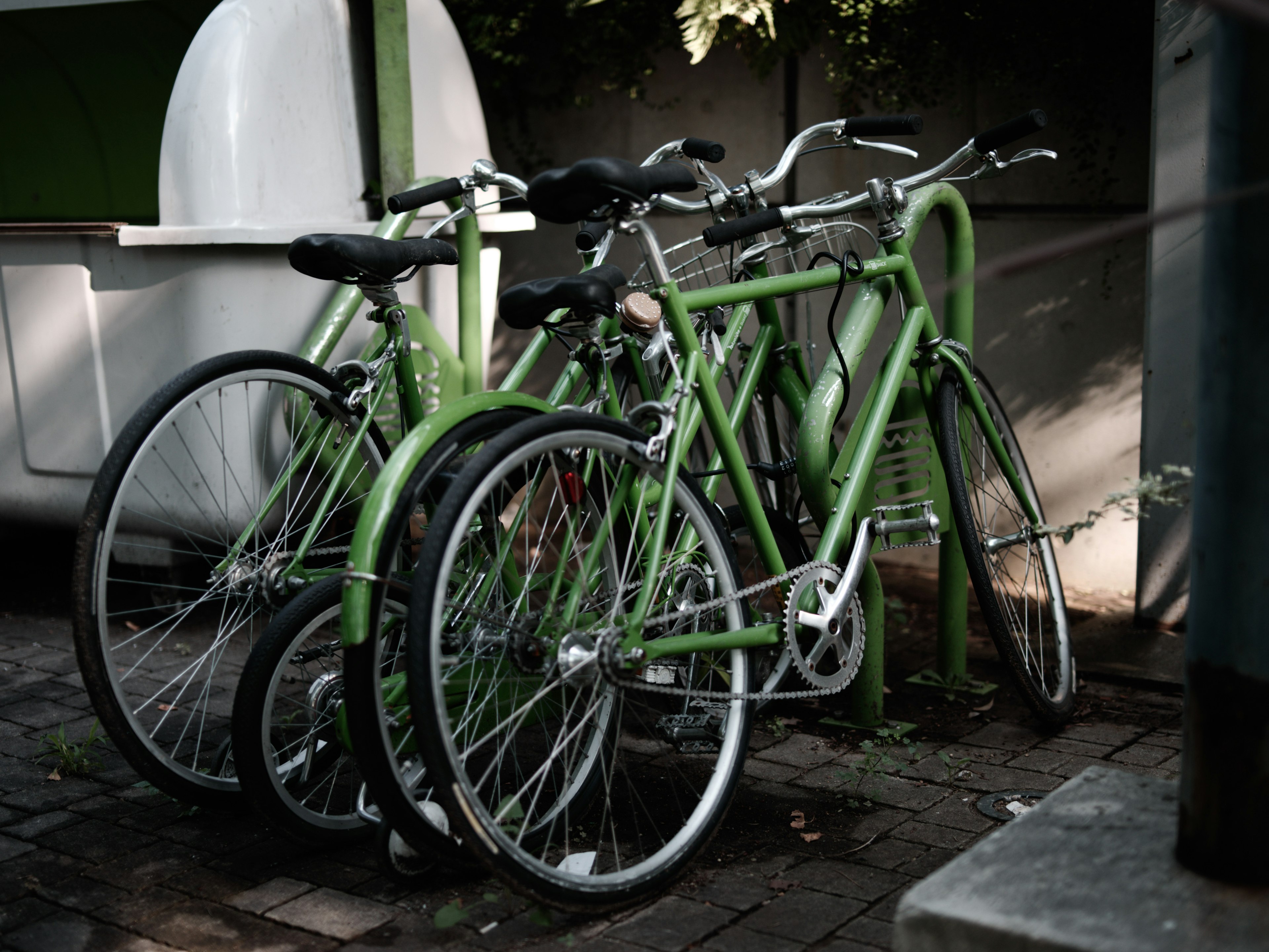 Un grupo de bicicletas verdes estacionadas juntas