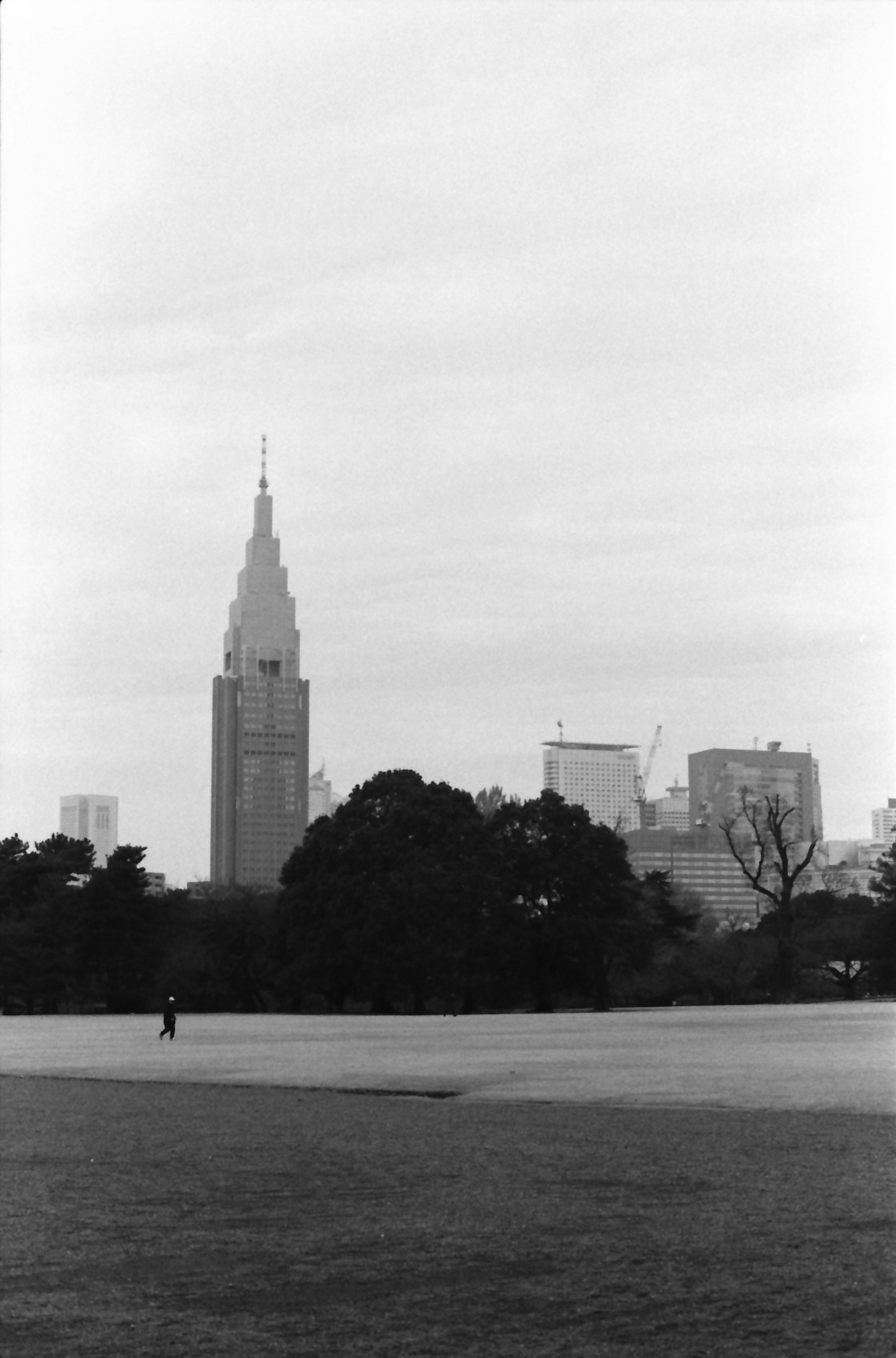 Monochrome image of a skyscraper with a wide park