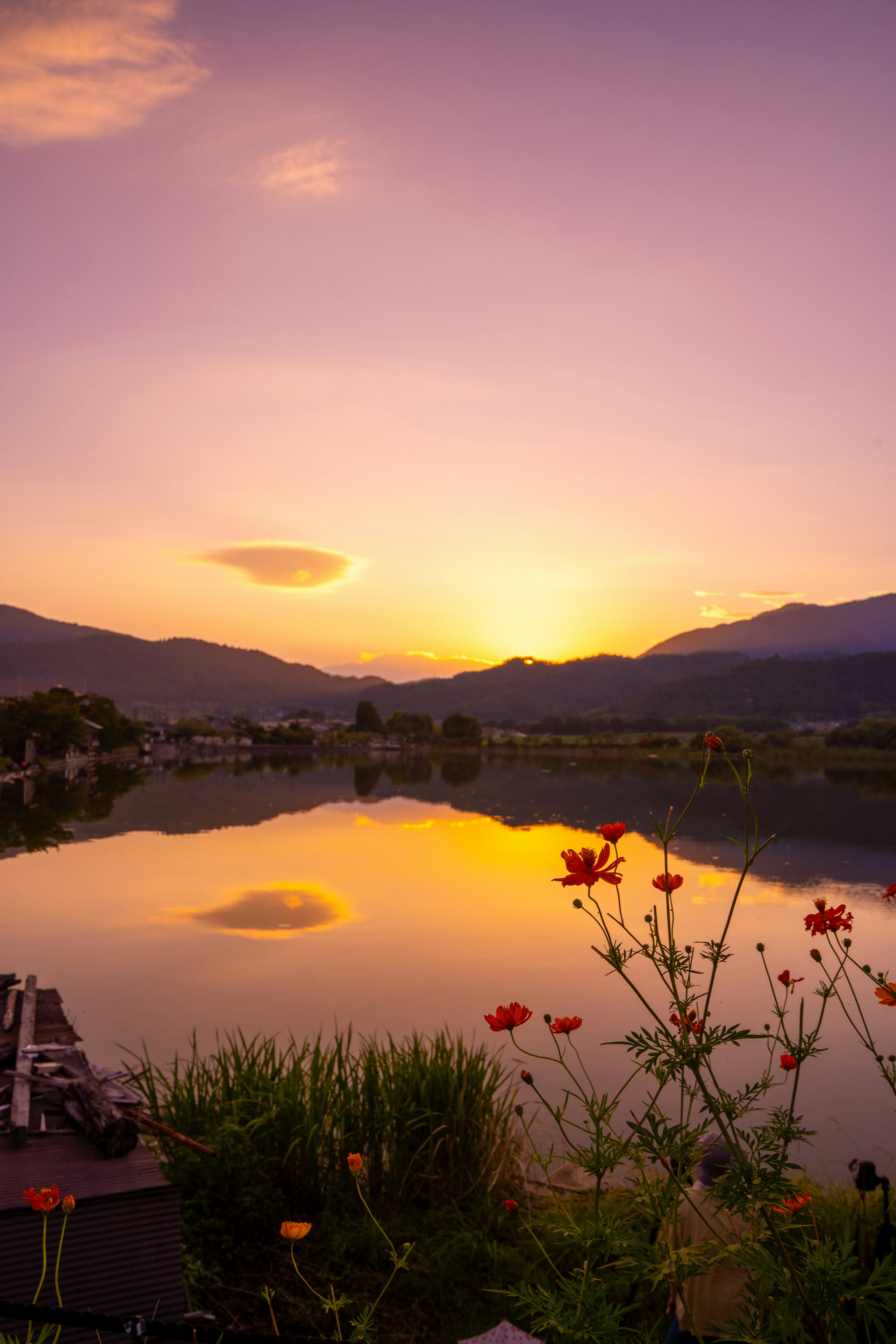 Vista escénica de un lago al atardecer con flores y montañas reflejadas