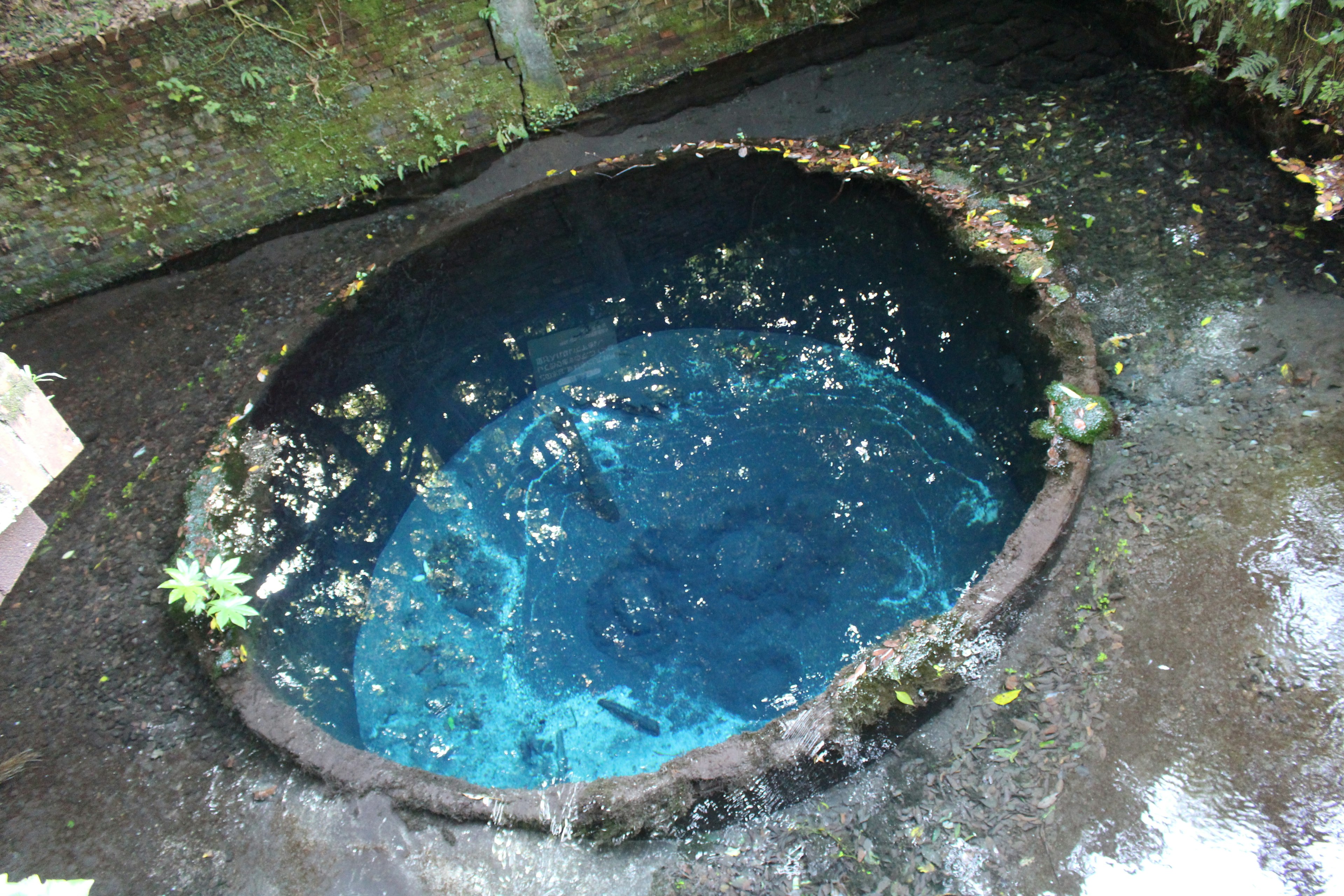 Circular well with blue water surrounded by plants and moss